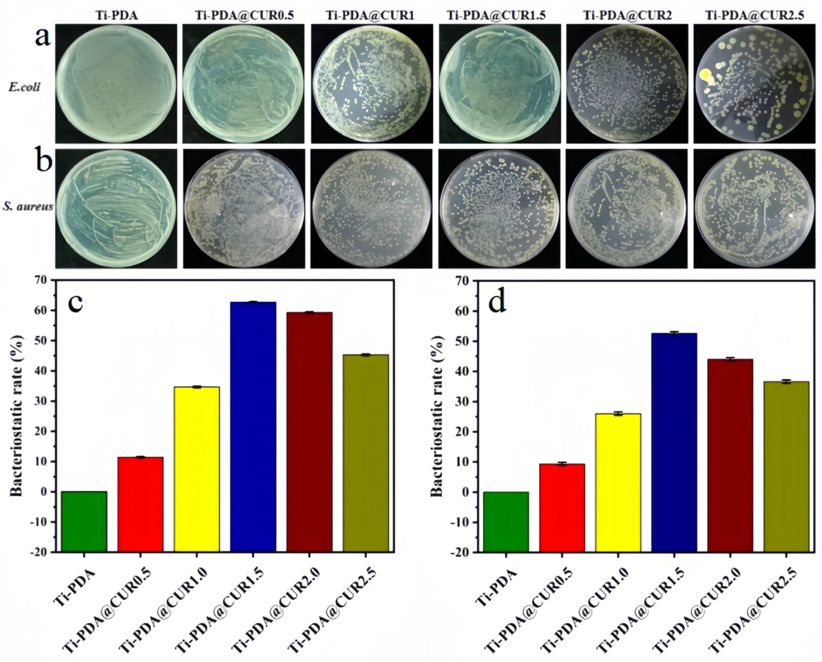 Coatings 14 00640 g005
