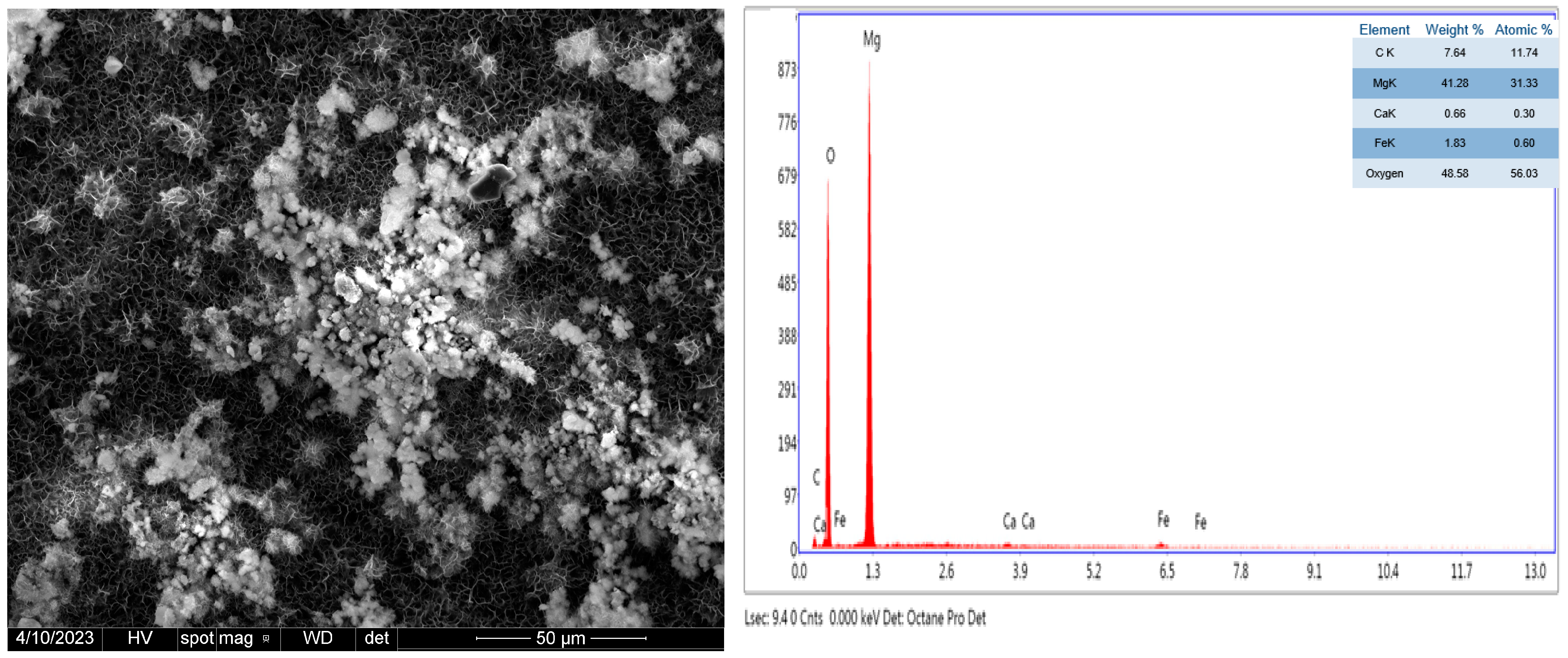Coatings 14 00644 g001