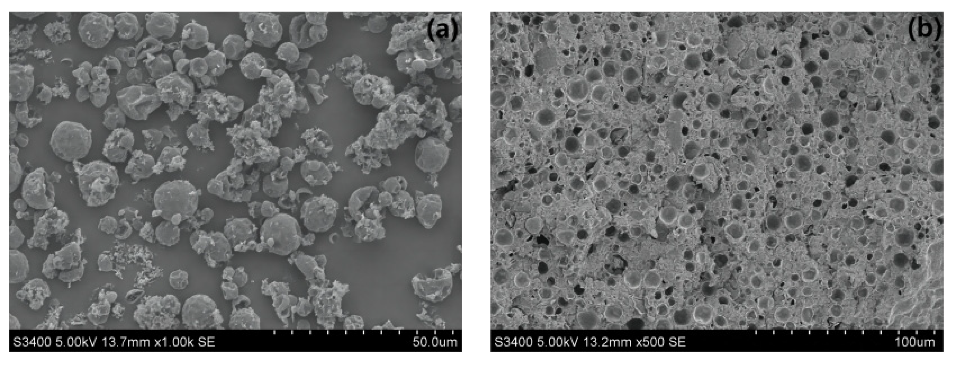 Coatings 14 00645 g003