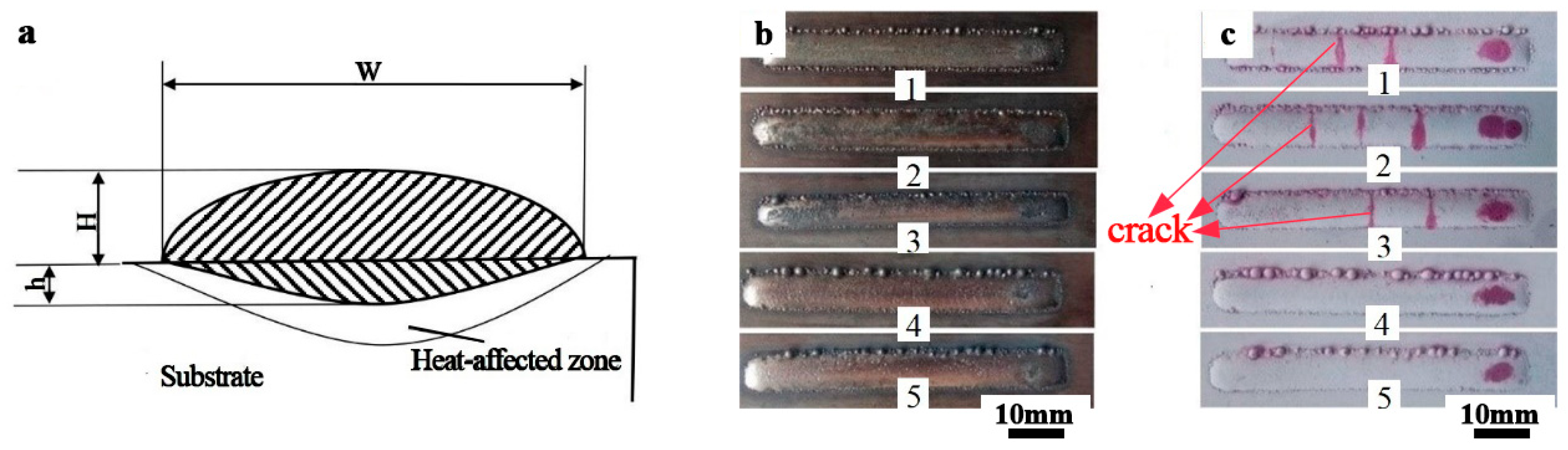 Coatings 14 00649 g002