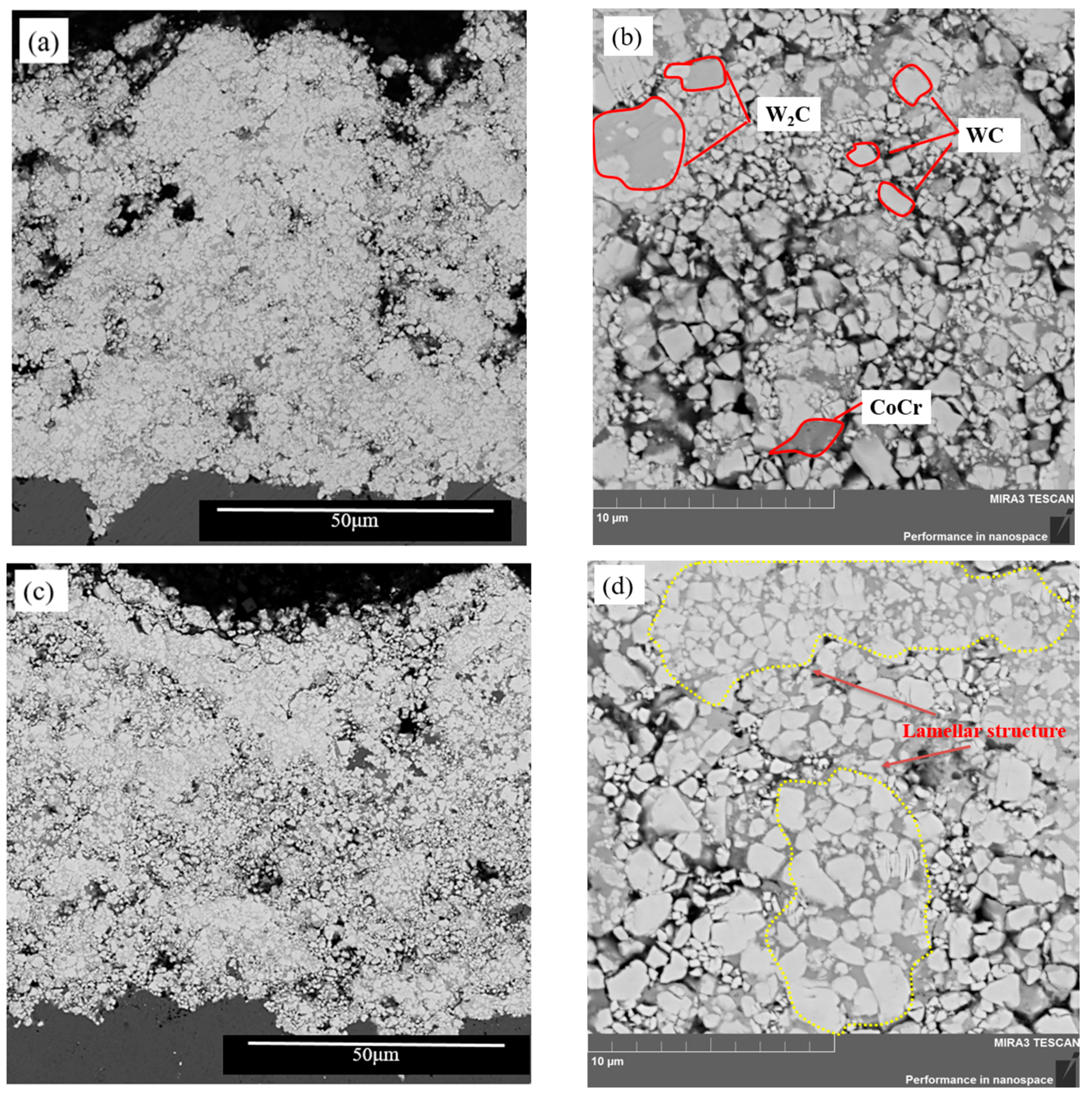 Coatings 14 00651 g002a
