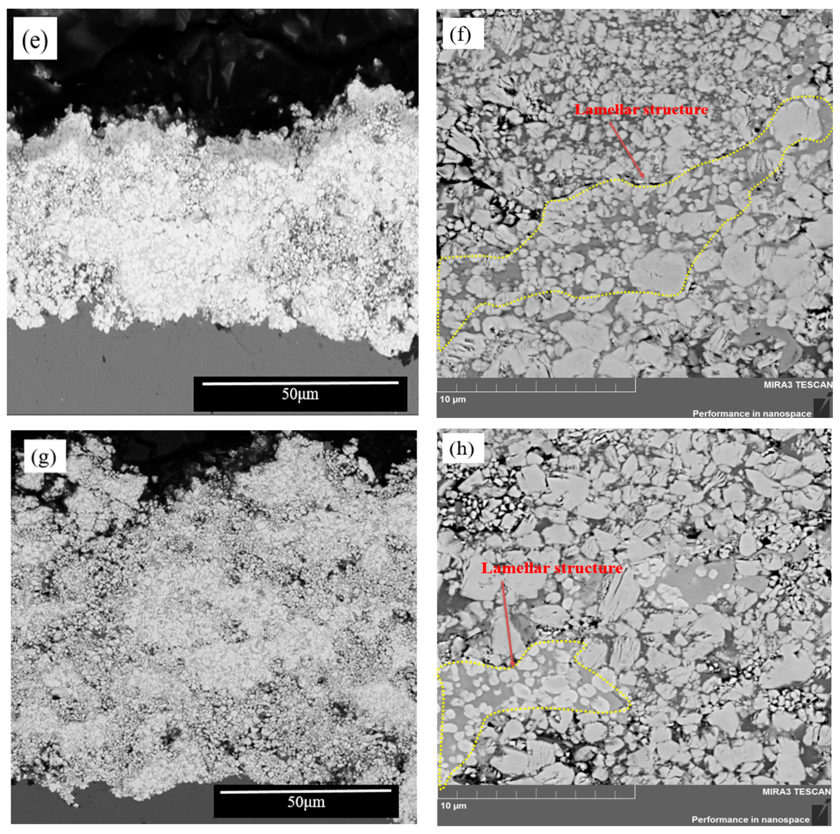 Coatings 14 00651 g002b