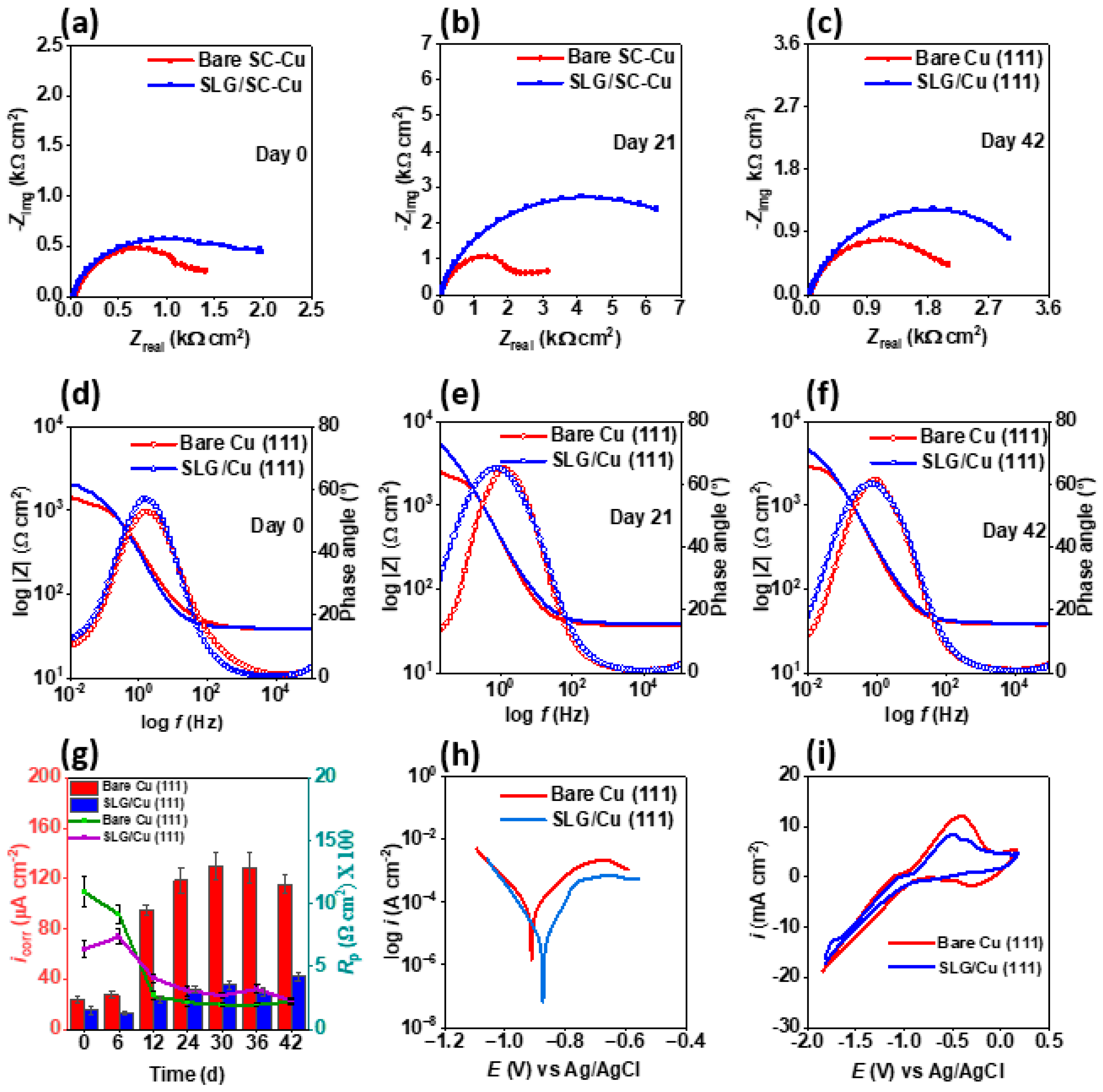 Coatings 14 00656 g003