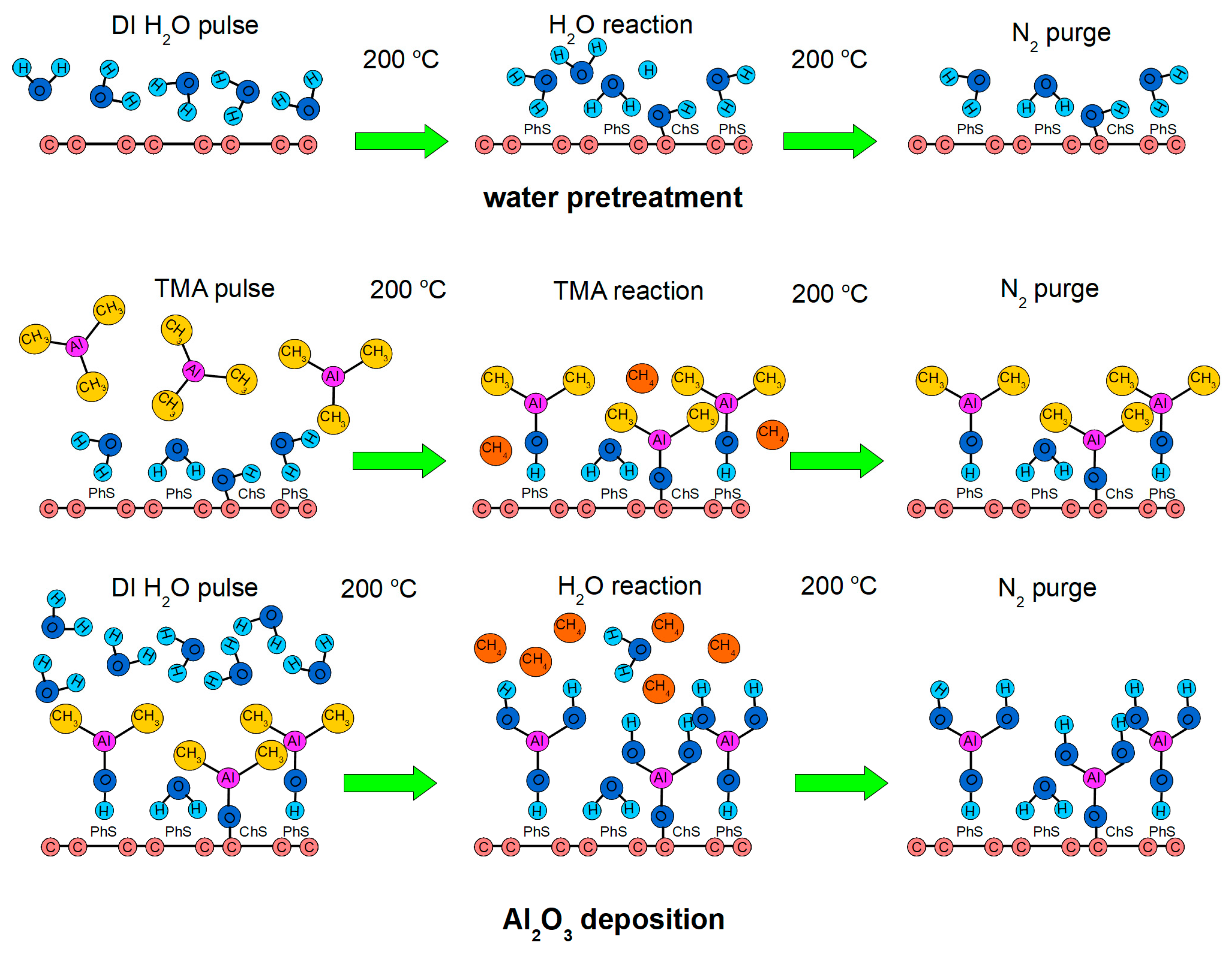 Coatings 14 00662 g001