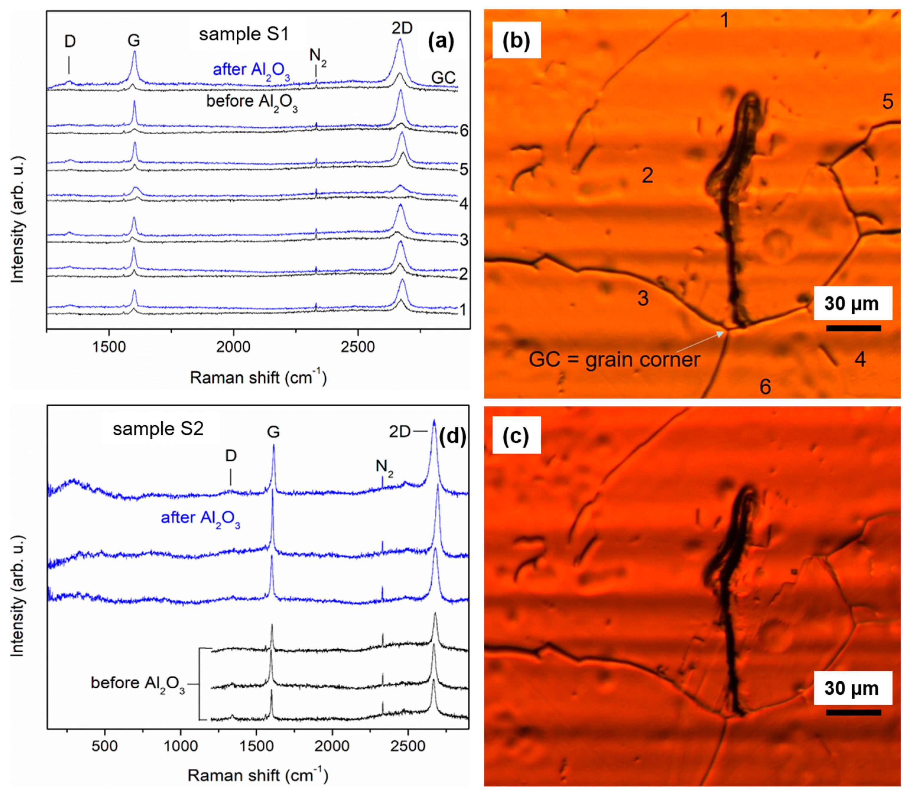 Coatings 14 00662 g007