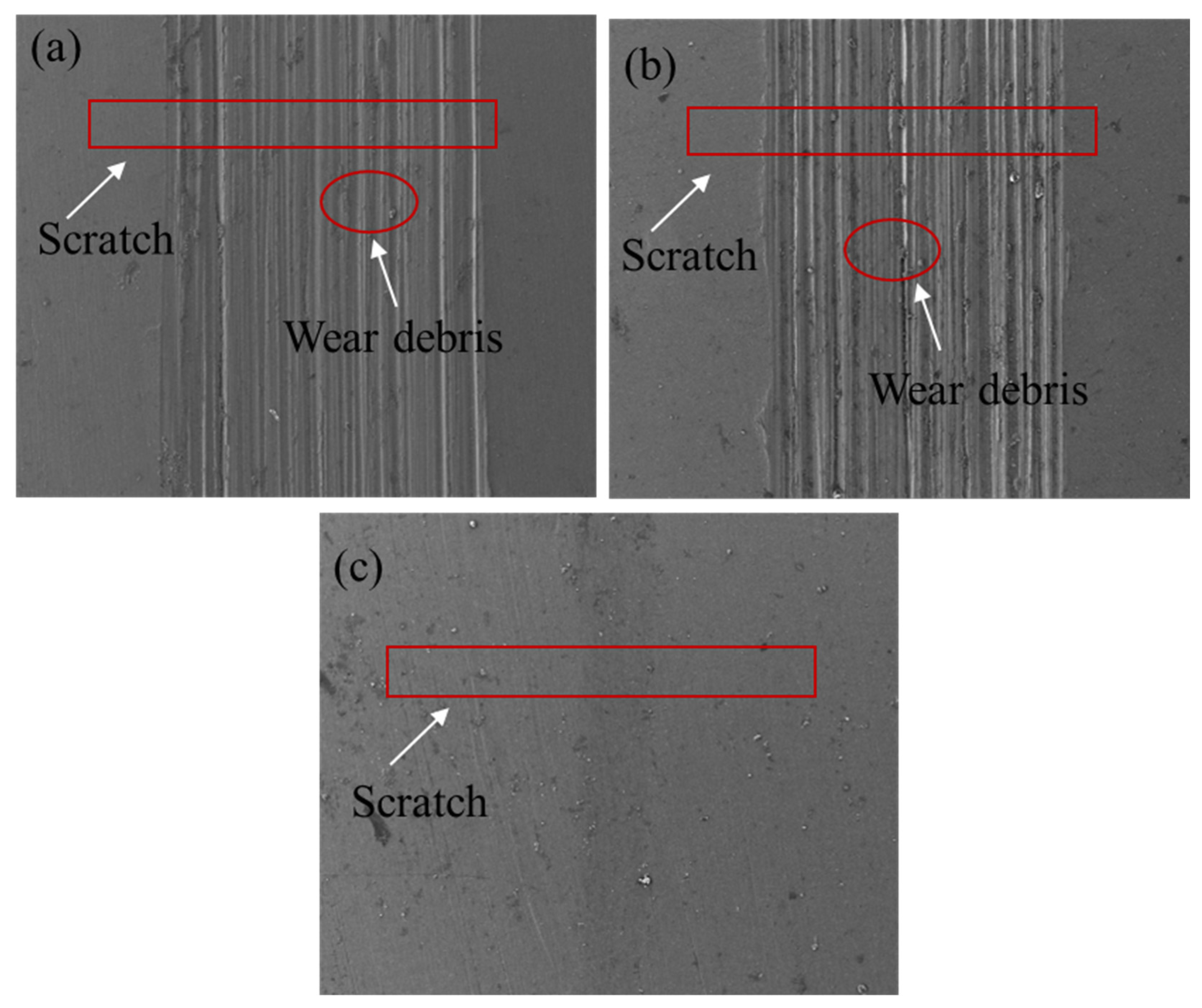 Coatings 14 00664 g014