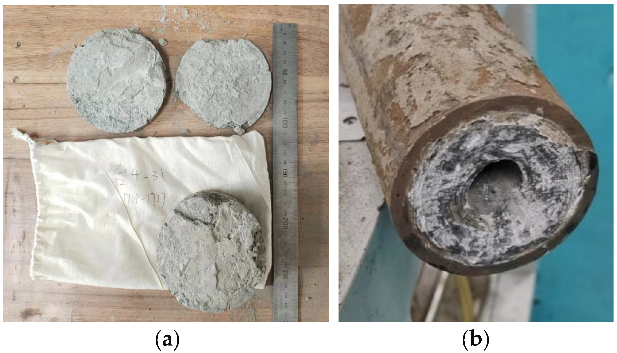 Coatings 14 00667 g003