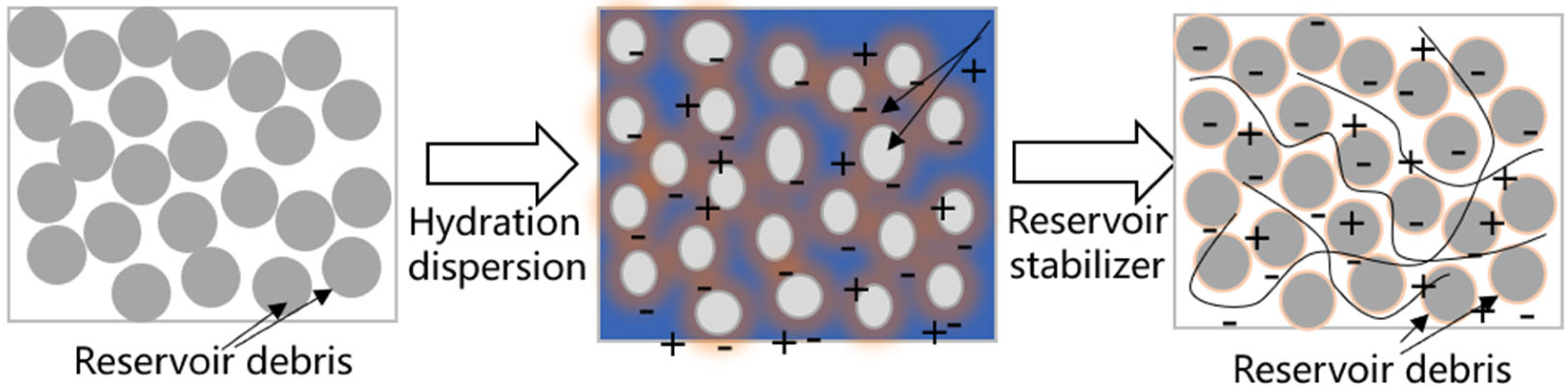 Coatings 14 00667 g005