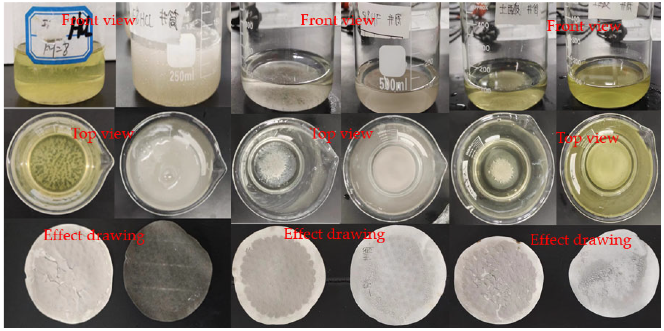 Coatings 14 00667 g007