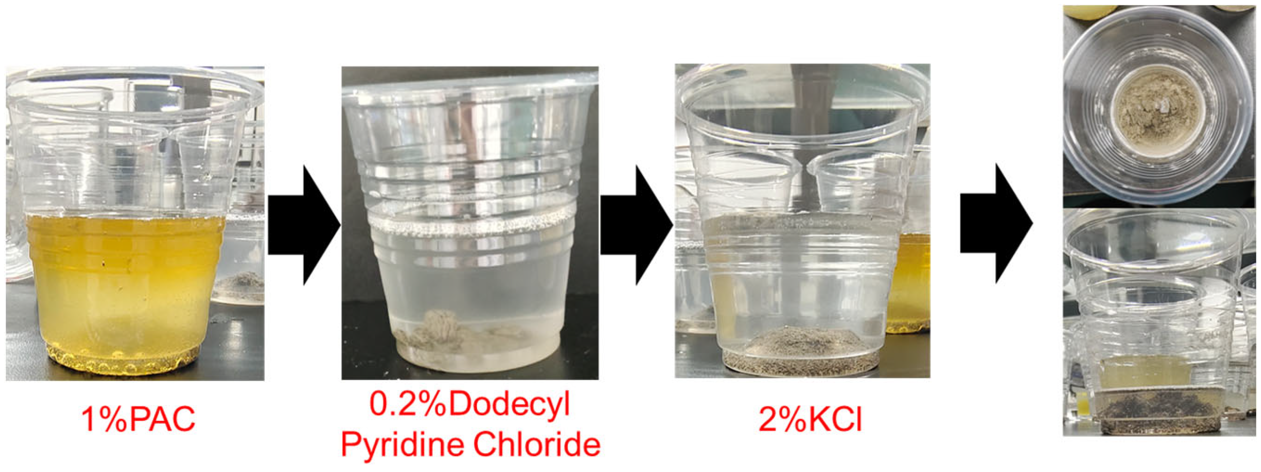 Coatings 14 00667 g014