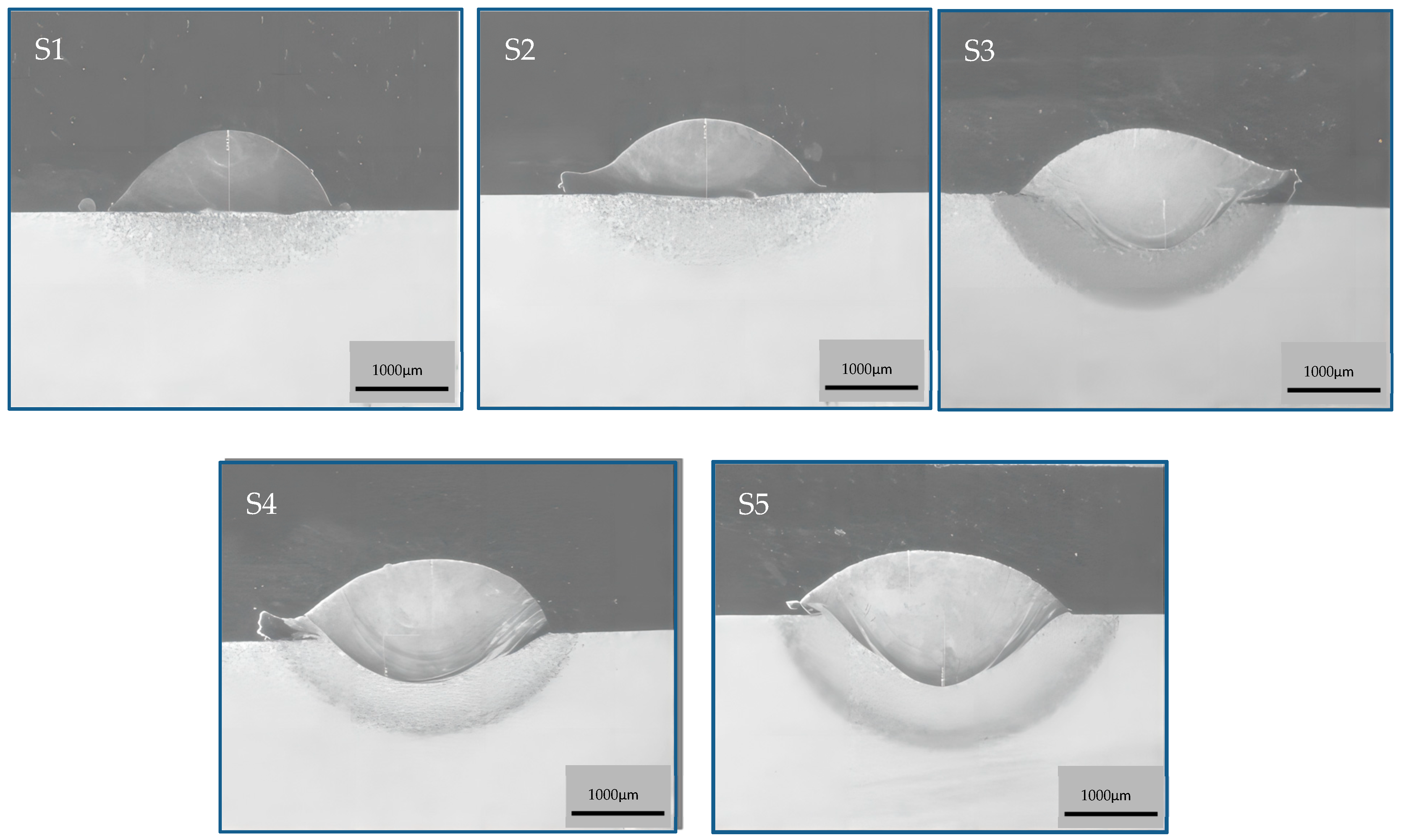 Coatings 14 00669 g003