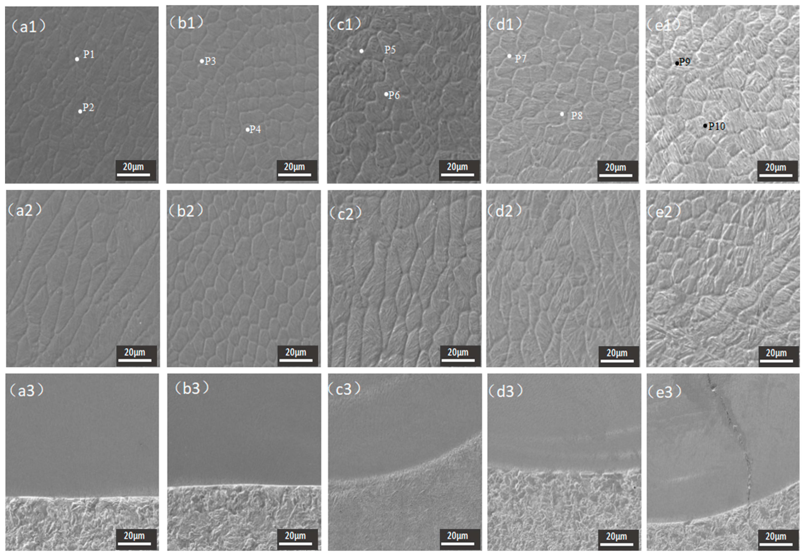 Coatings 14 00669 g005