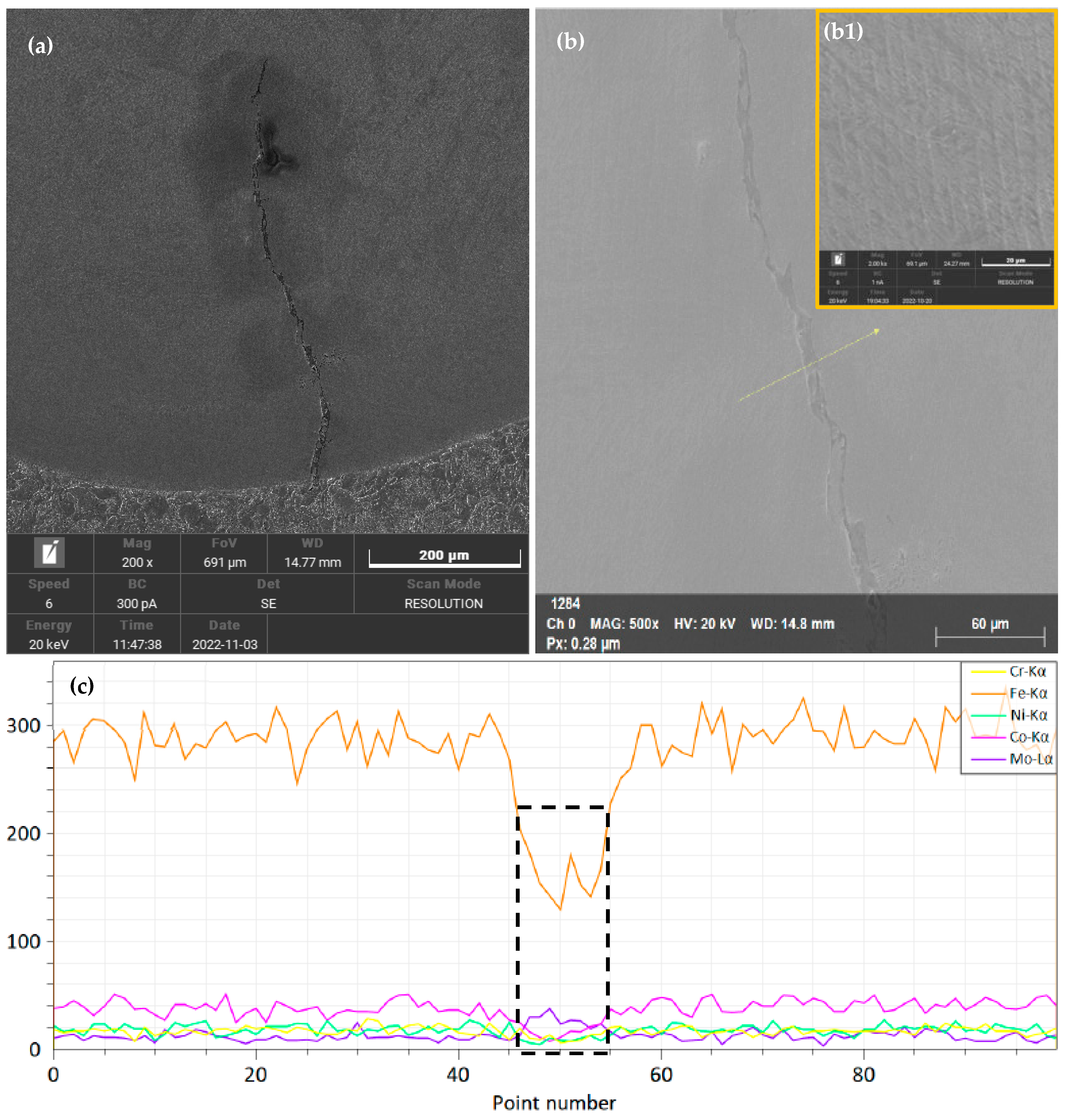 Coatings 14 00669 g006