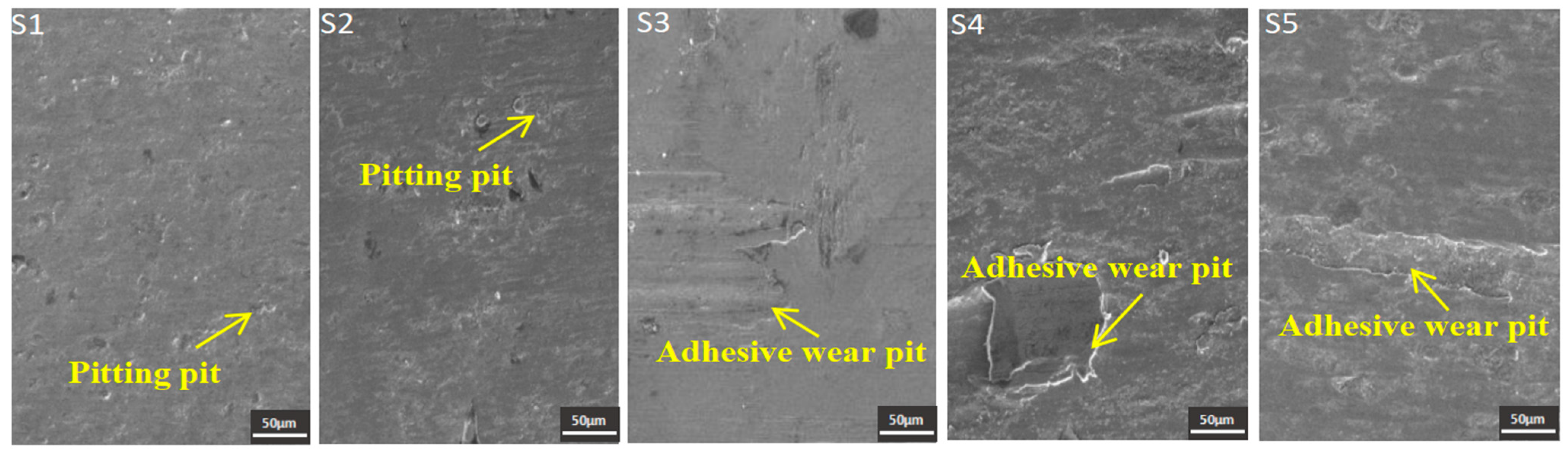 Coatings 14 00669 g008