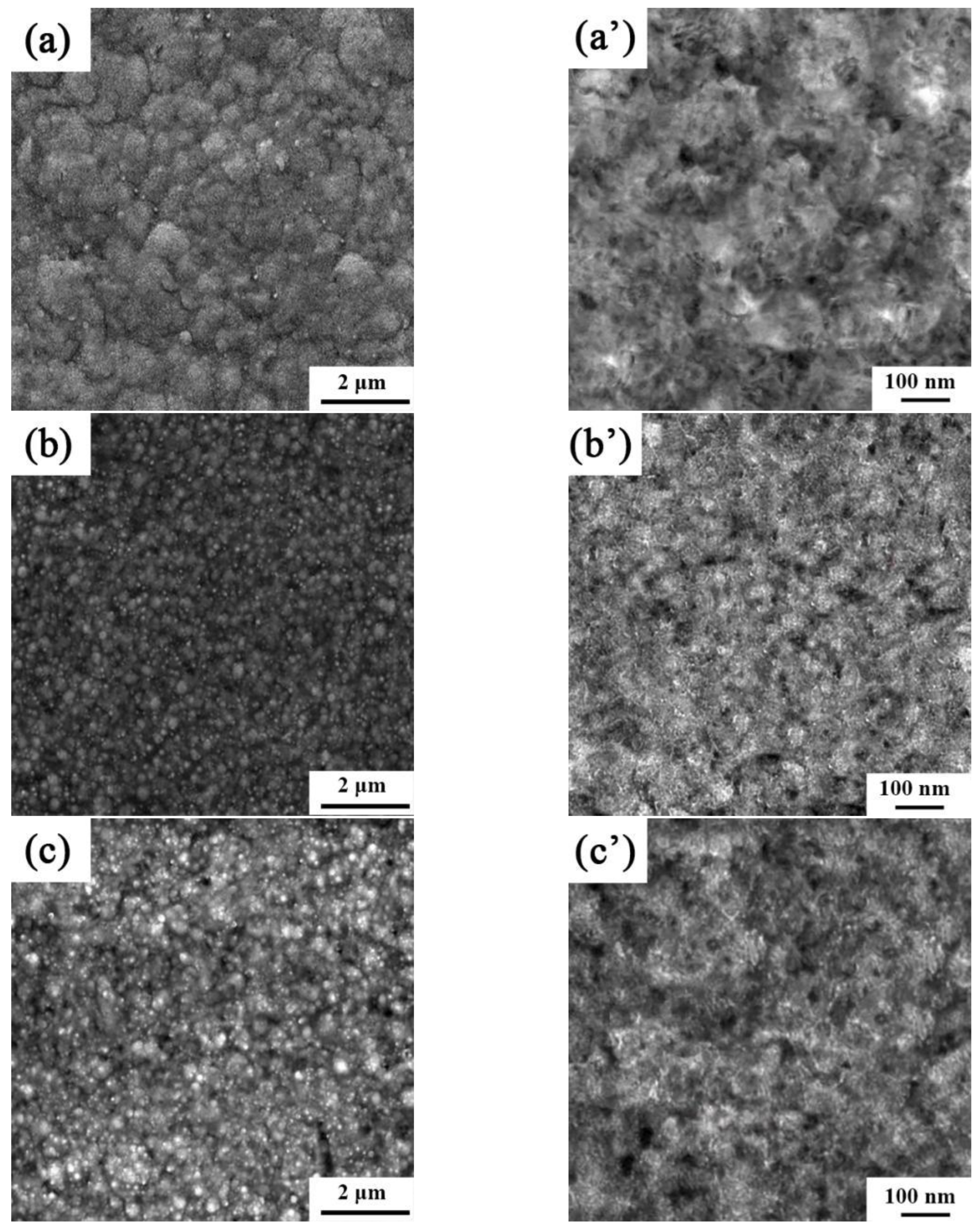 Coatings 14 00672 g002