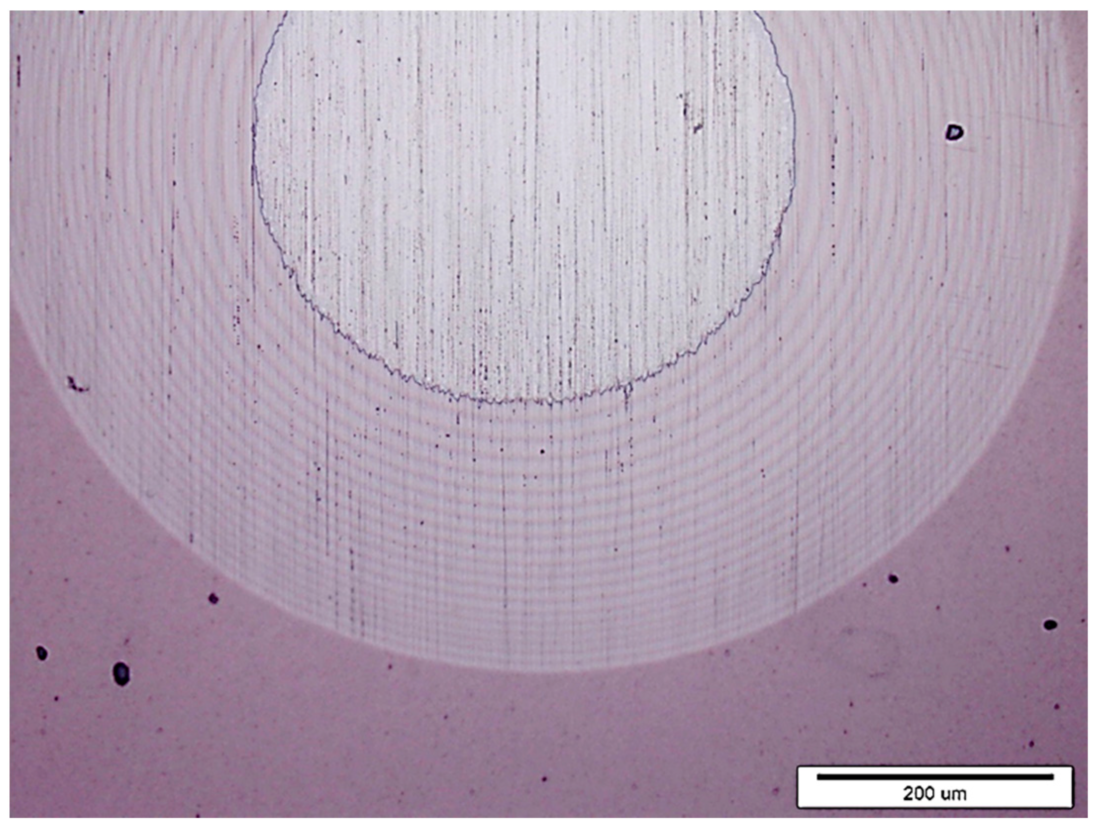 Coatings 14 00674 g004