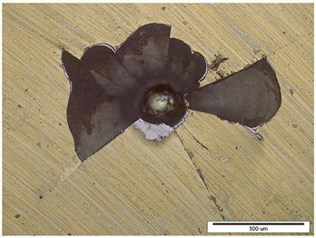 Coatings 14 00674 i001