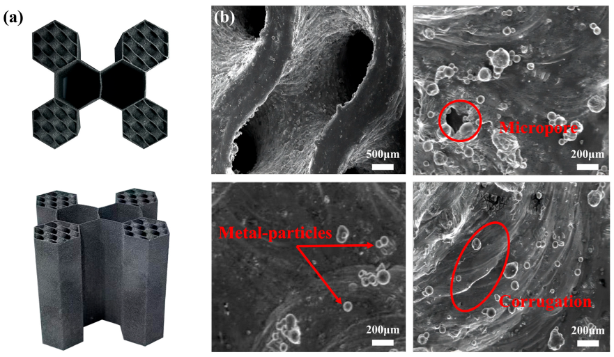 Coatings 14 00675 g003