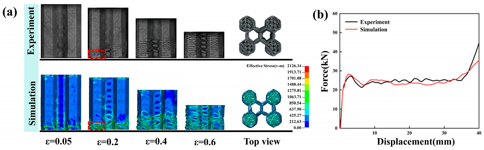 Coatings 14 00675 g007