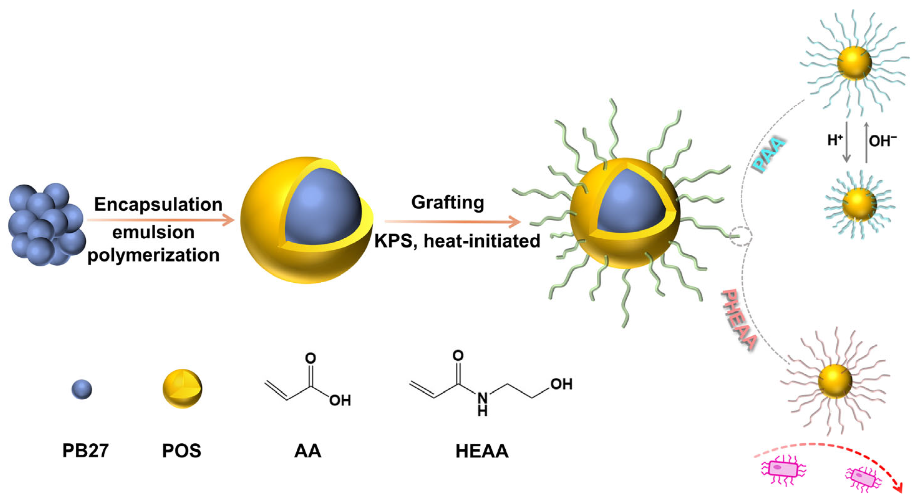 Coatings 14 00677 g001