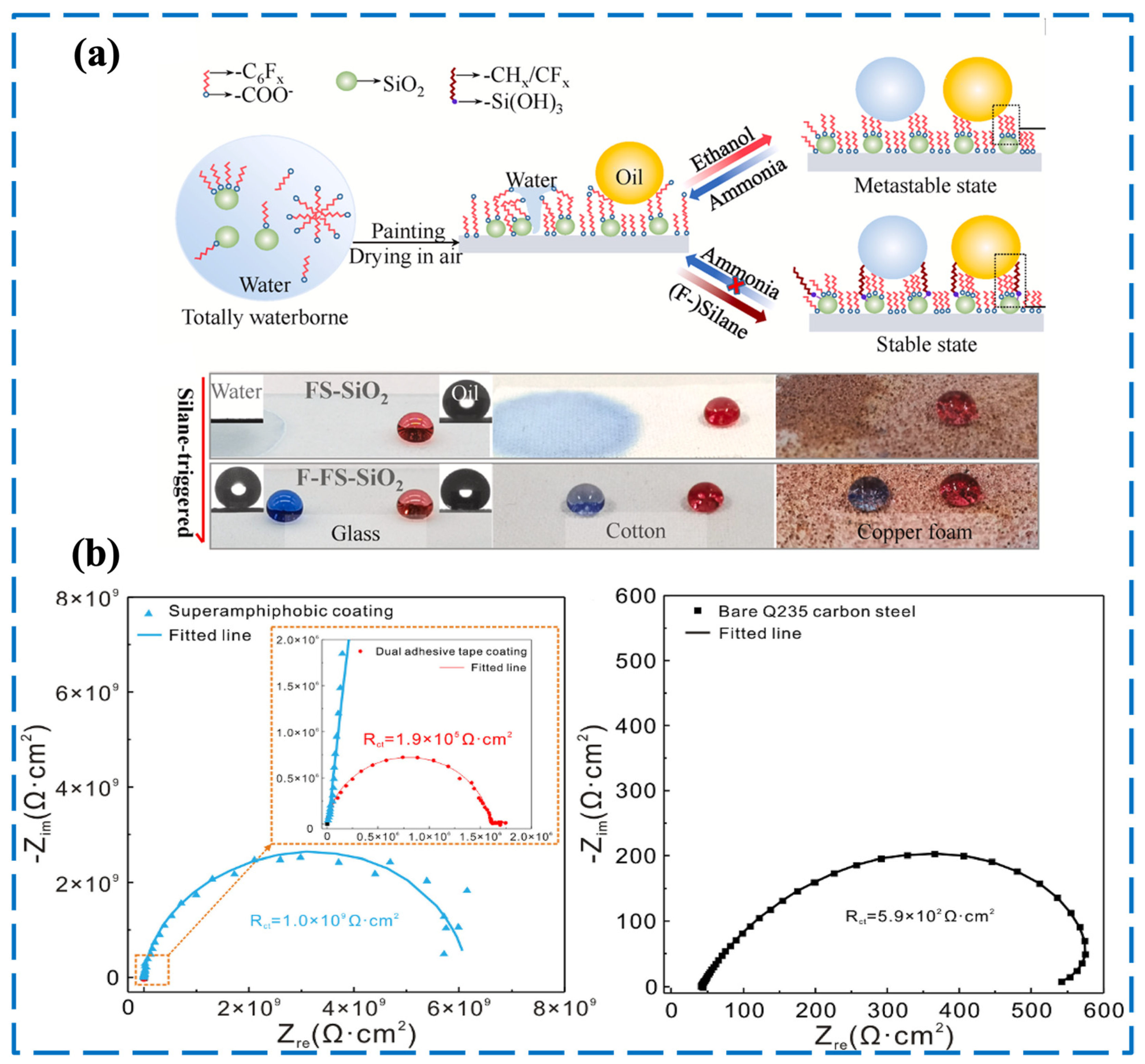 Coatings 14 00678 g003