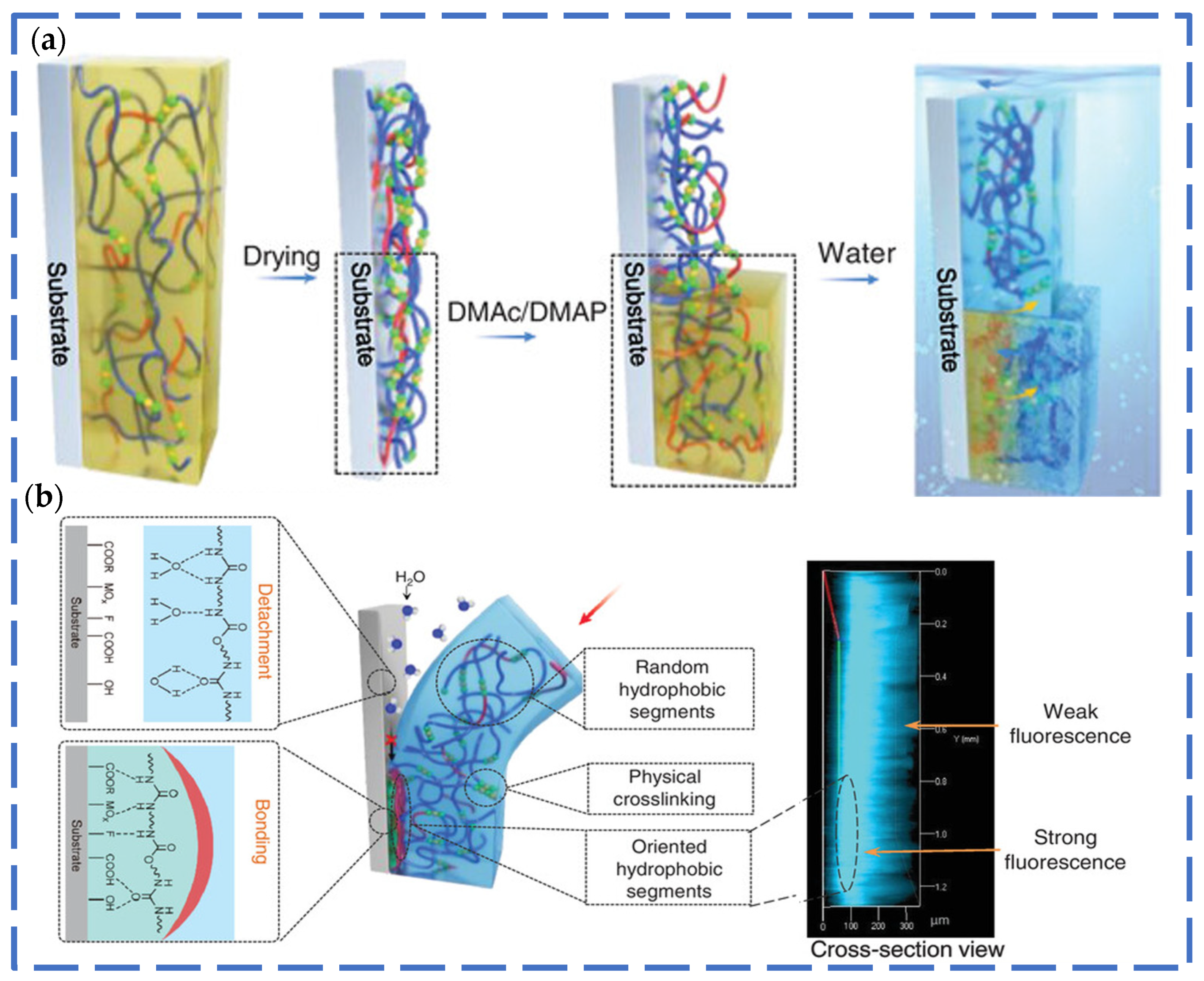 Coatings 14 00678 g005