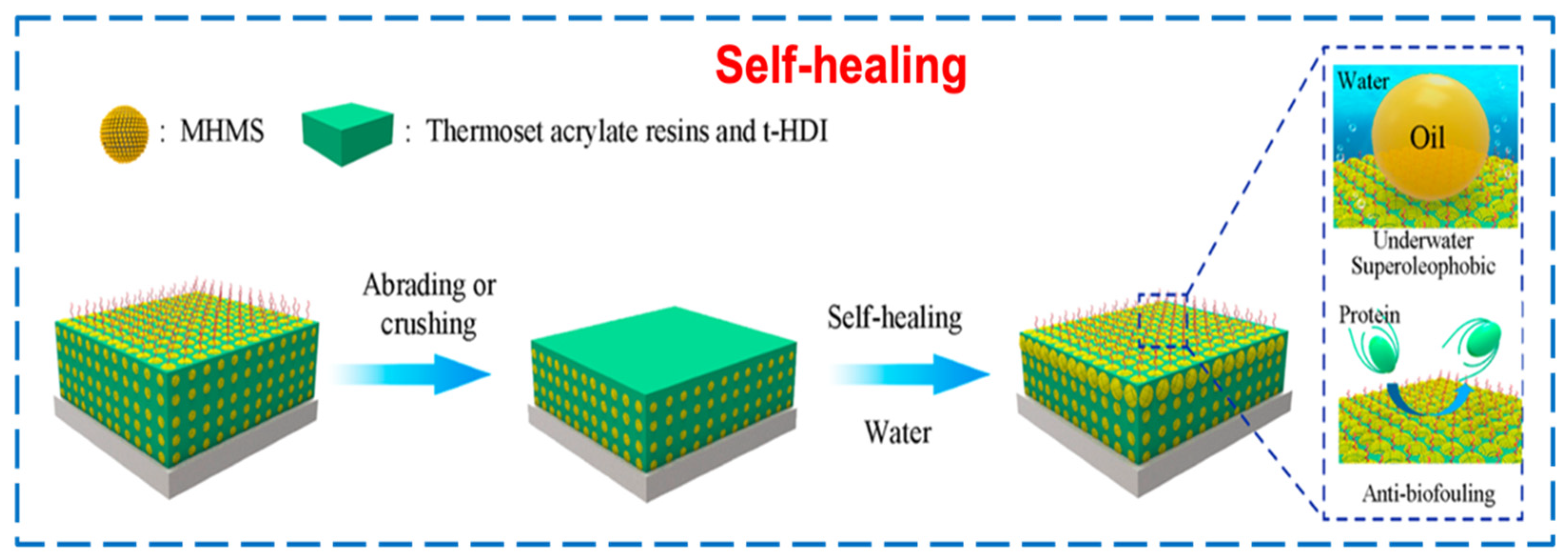 Coatings 14 00678 g006