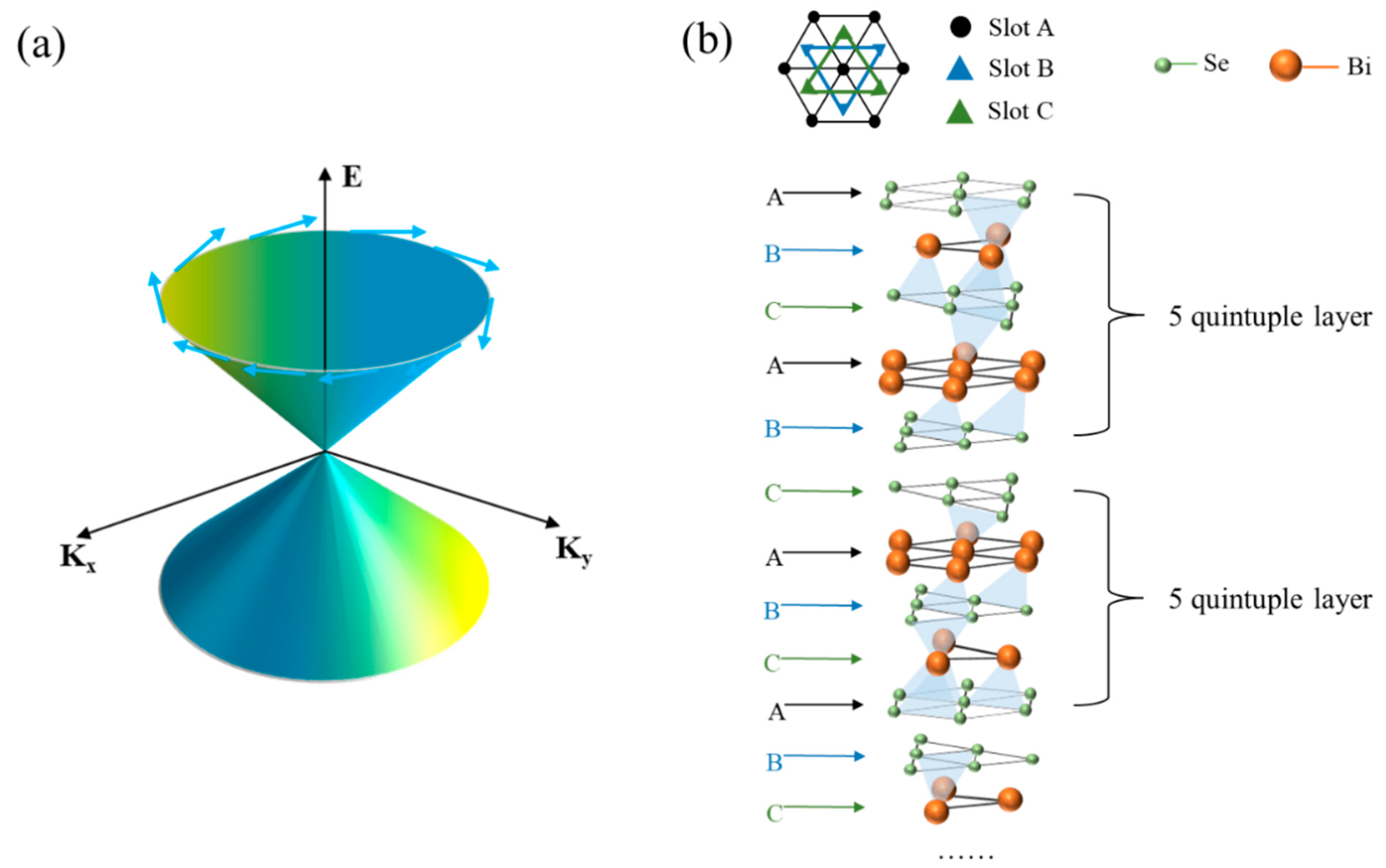 Coatings 14 00679 g001