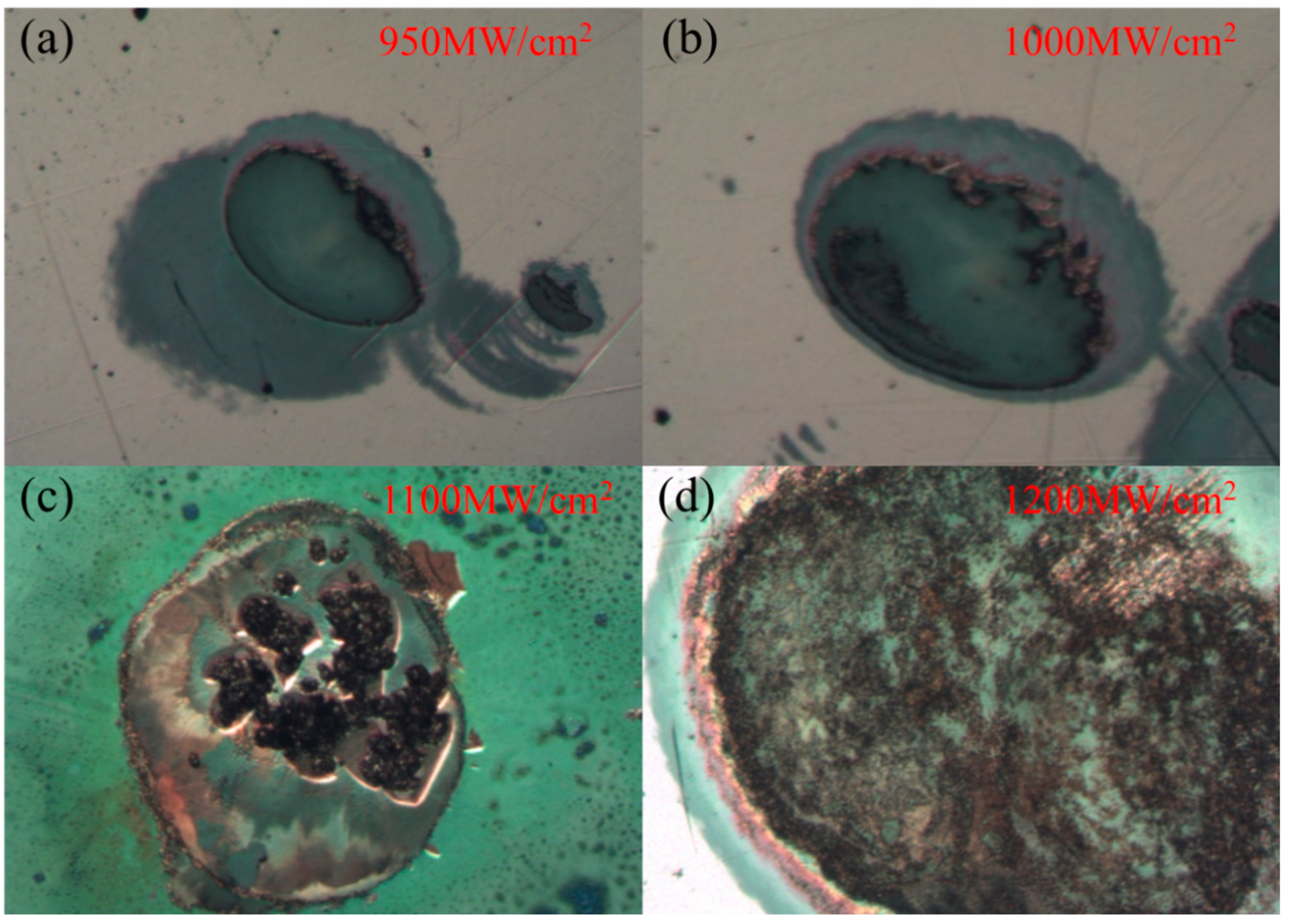 Coatings 14 00679 g006