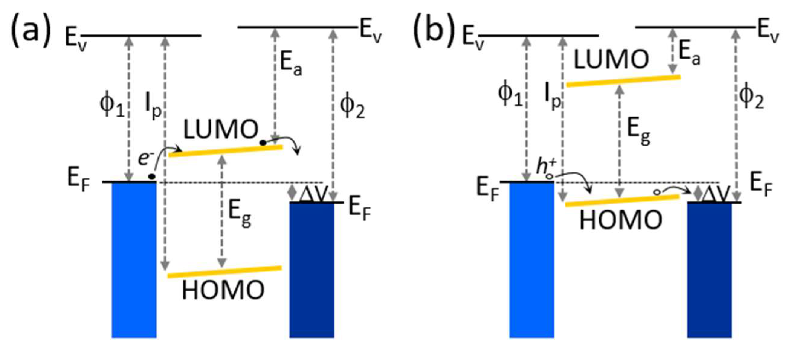 Coatings 14 00682 g003