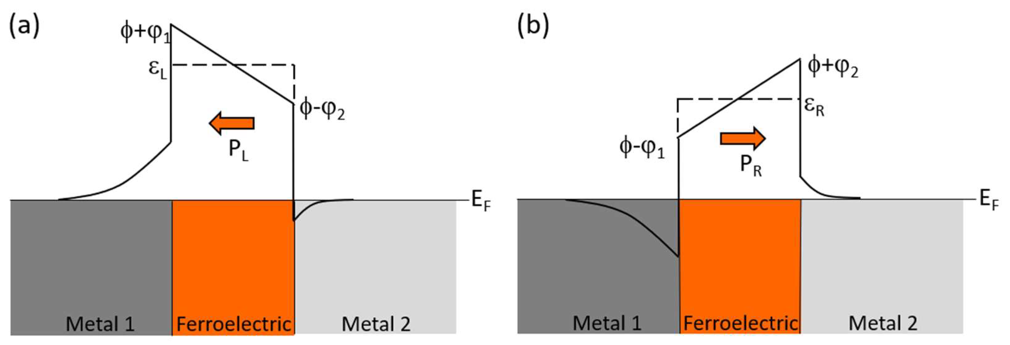 Coatings 14 00682 g005