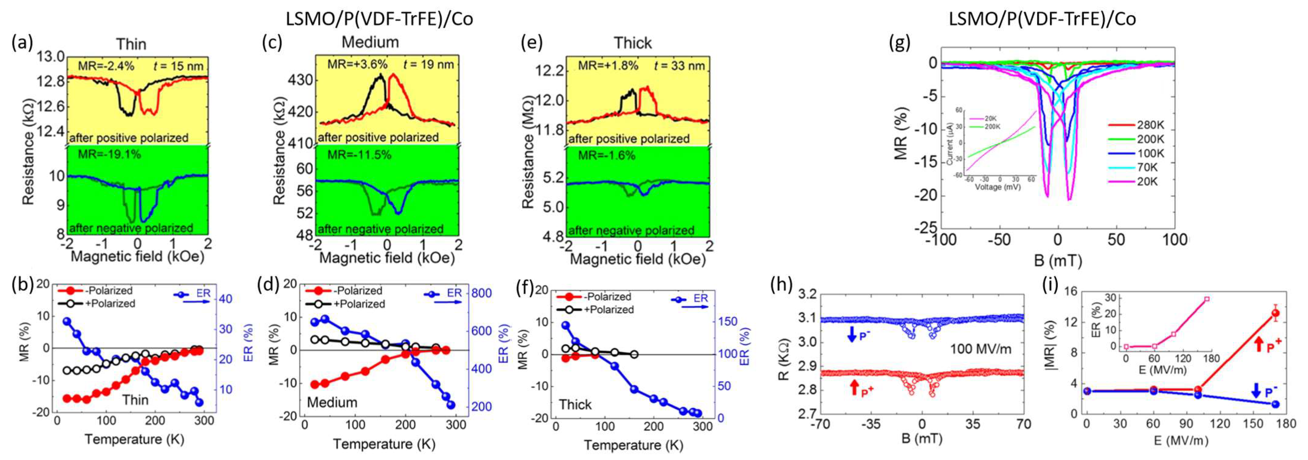 Coatings 14 00682 g007