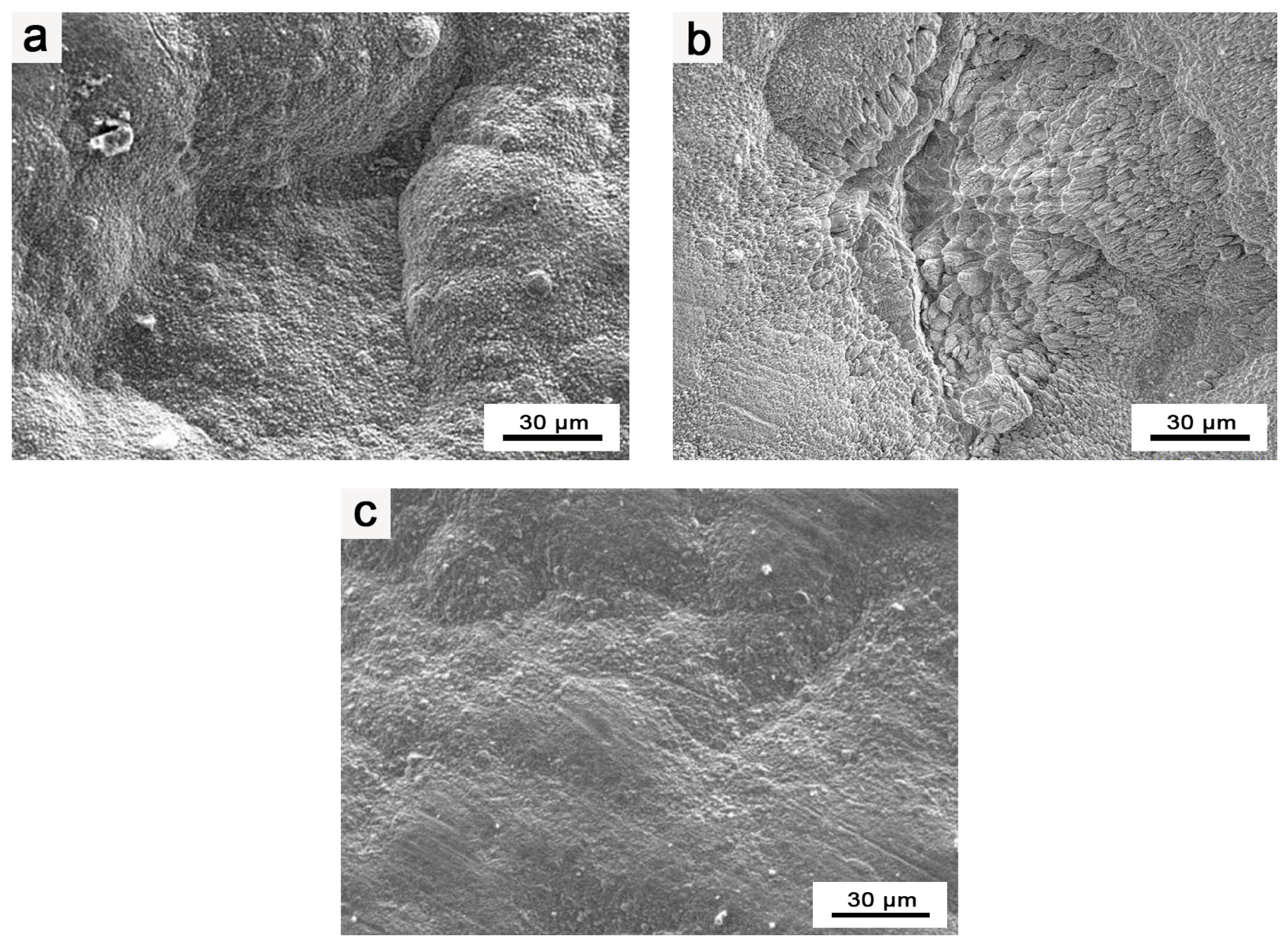 Coatings 14 00695 g002