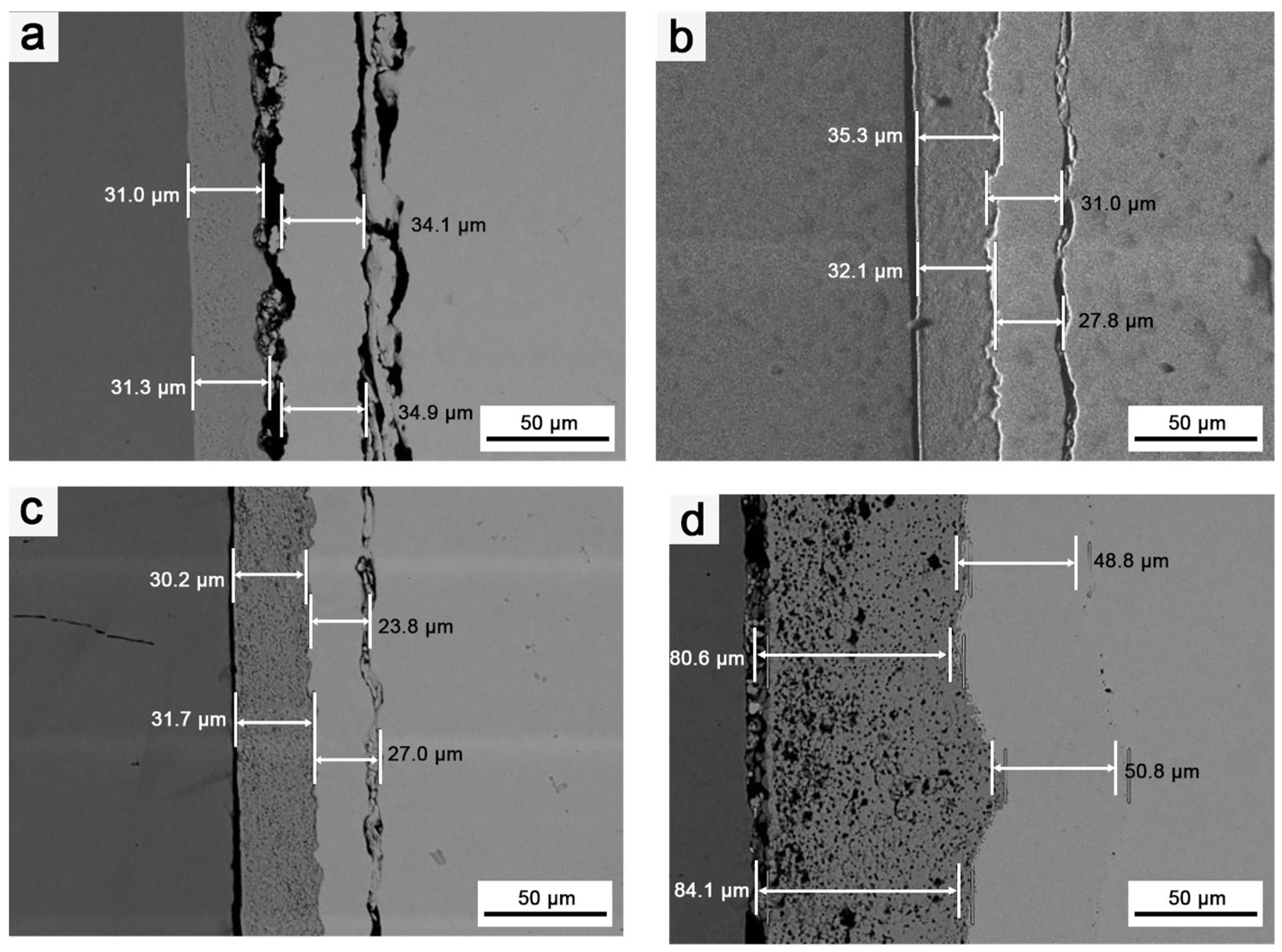 Coatings 14 00695 g008