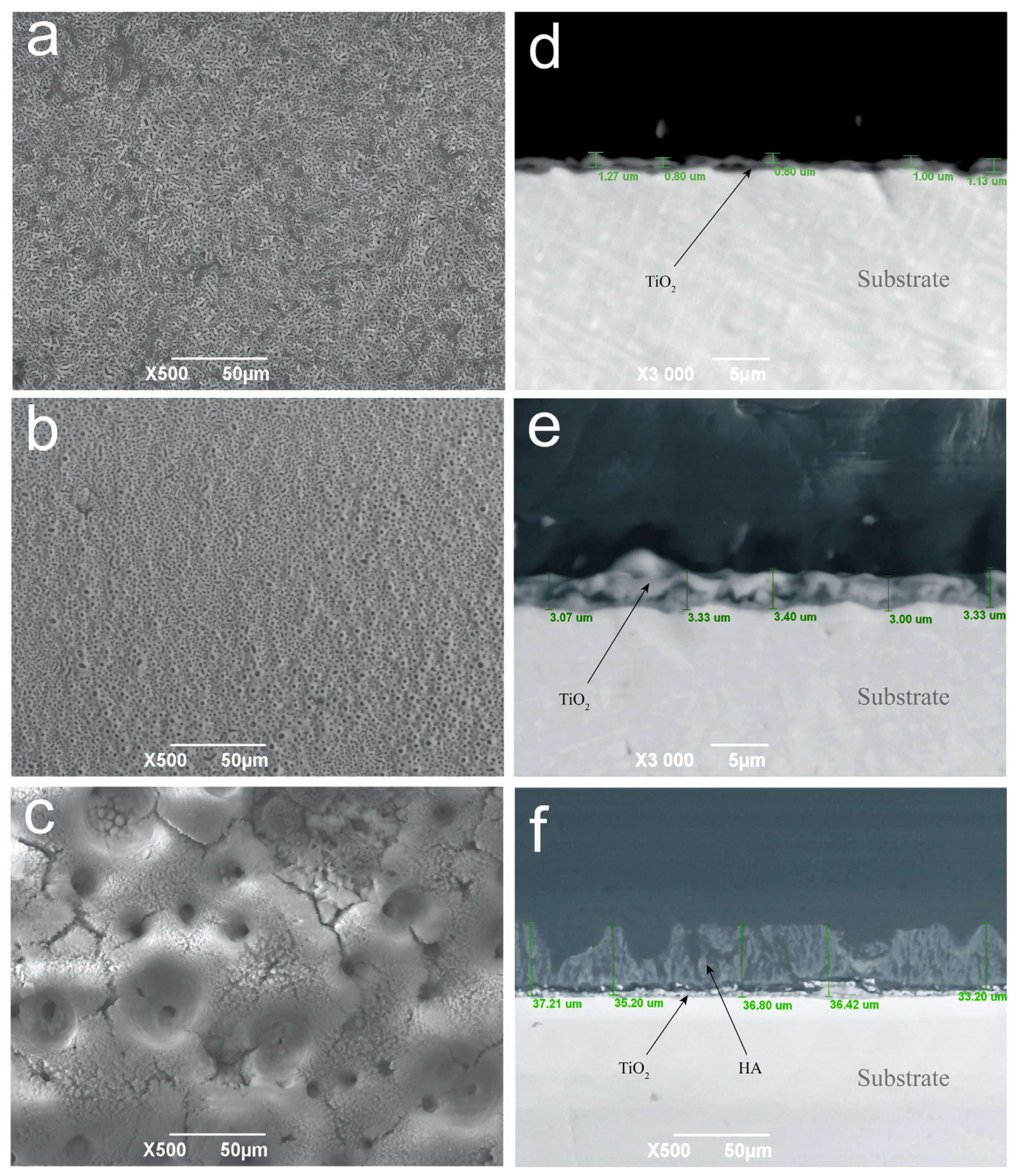 Coatings 14 00696 g002