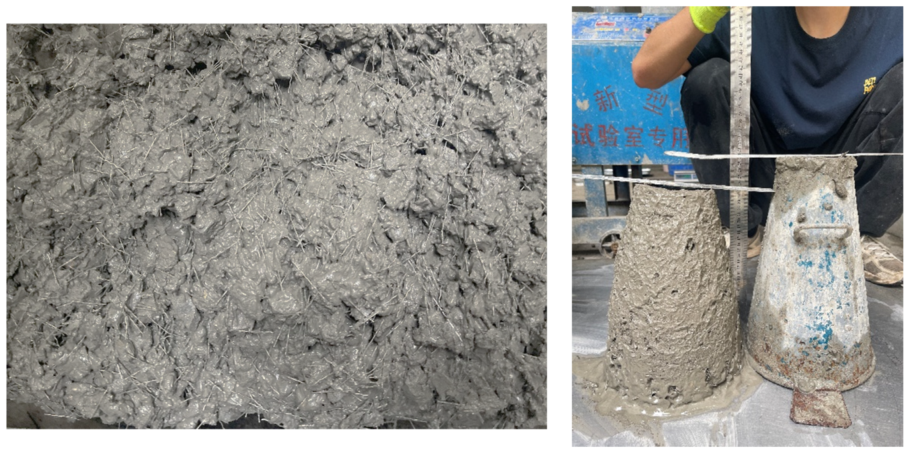 Coatings 14 00697 g003