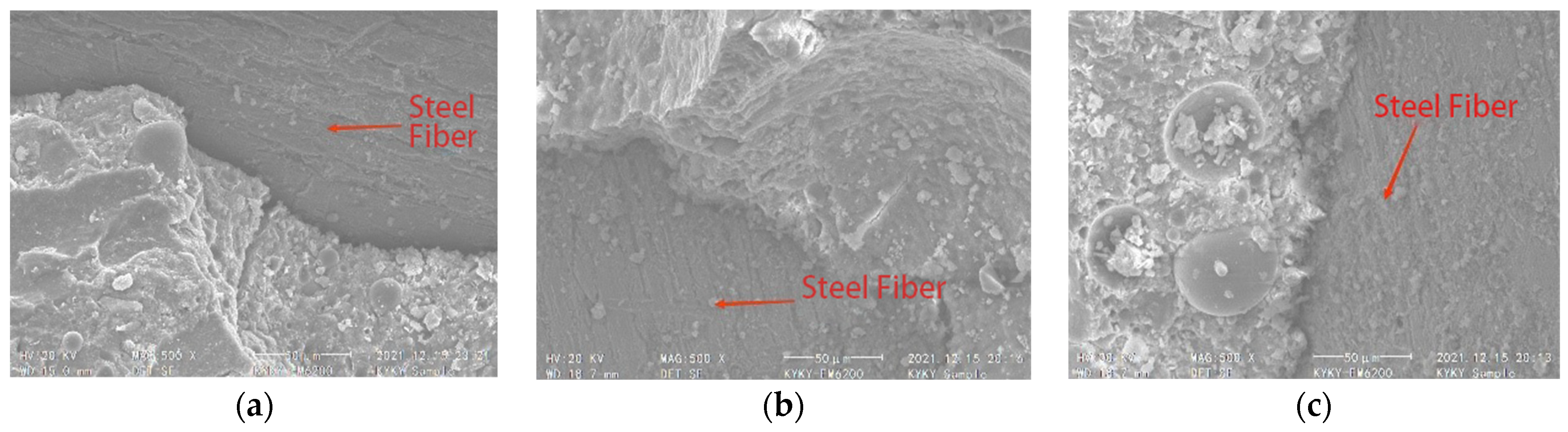 Coatings 14 00697 g021