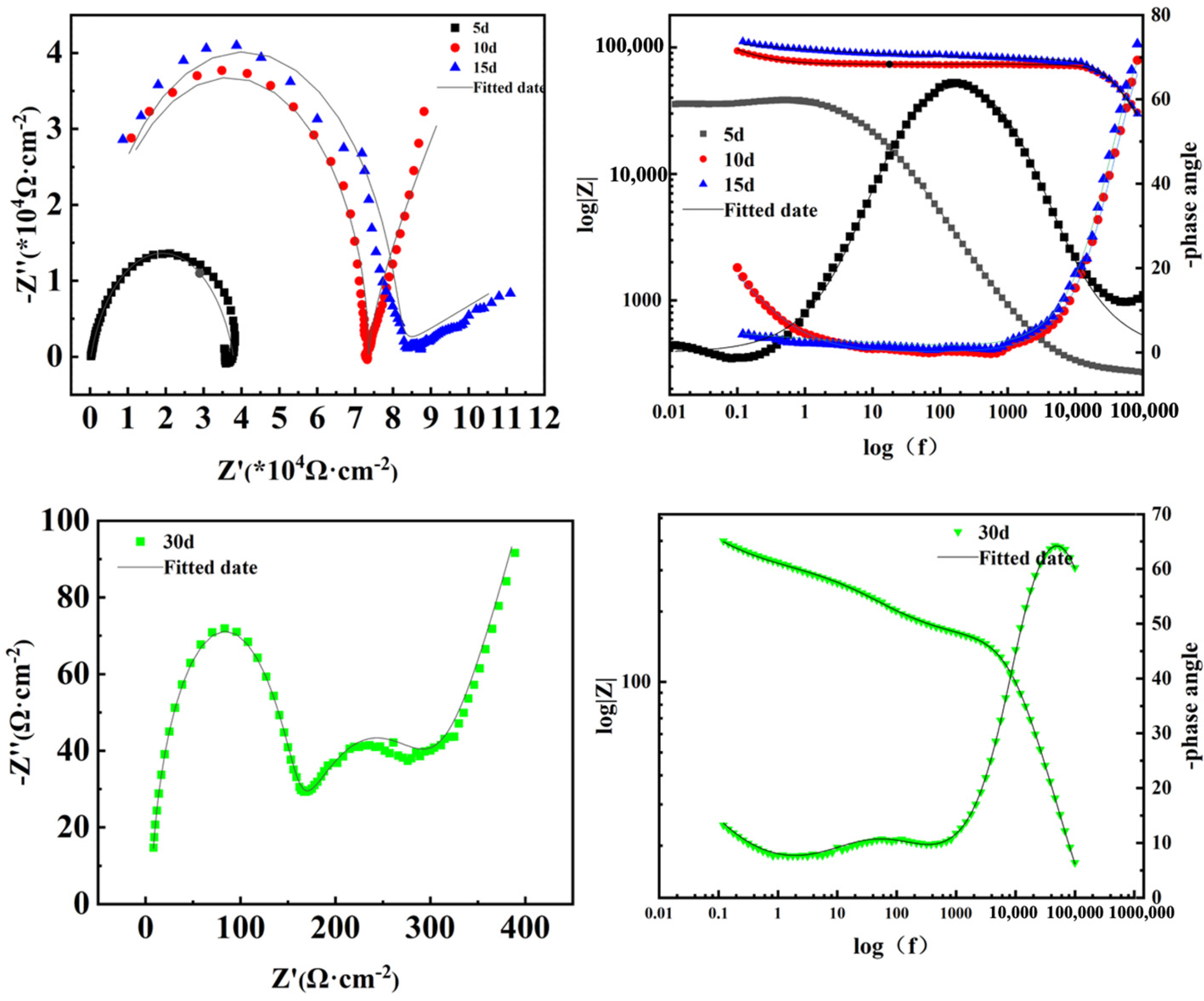 Coatings 14 00699 g012