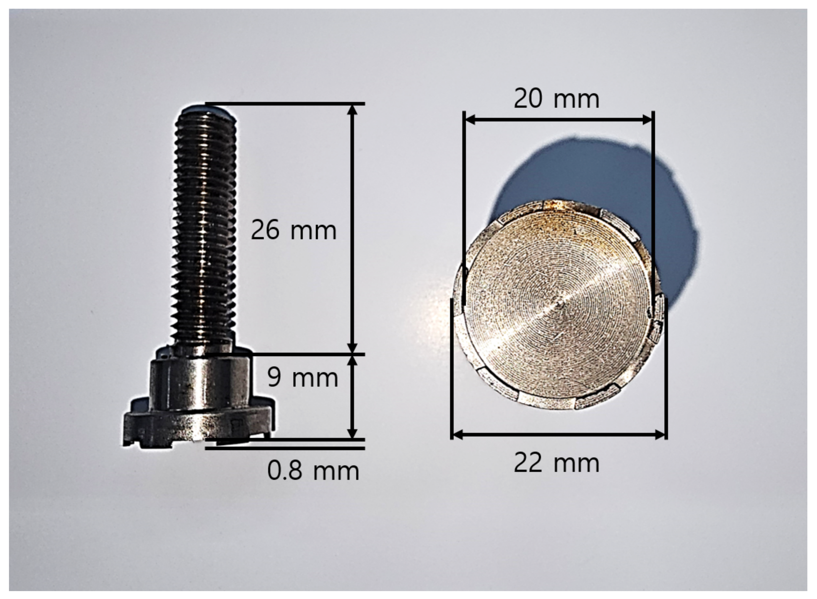 Coatings 14 00702 g002
