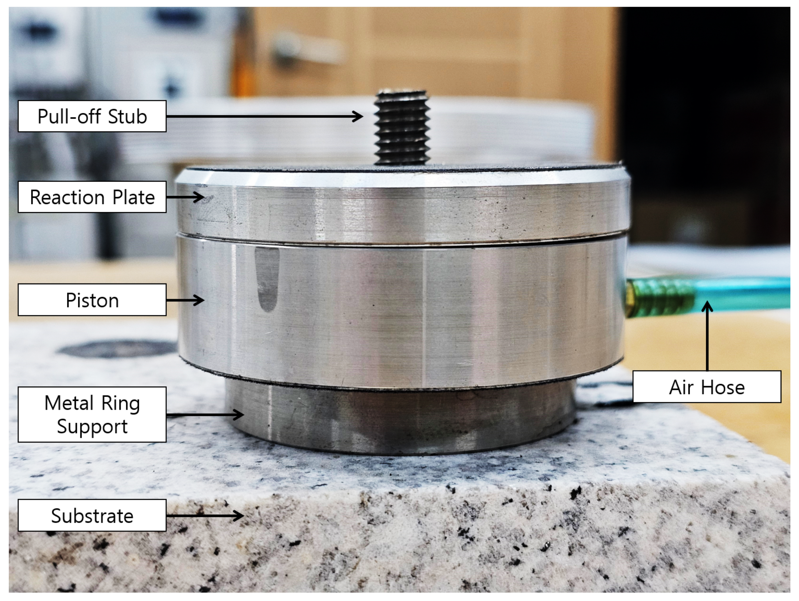 Coatings 14 00702 g003