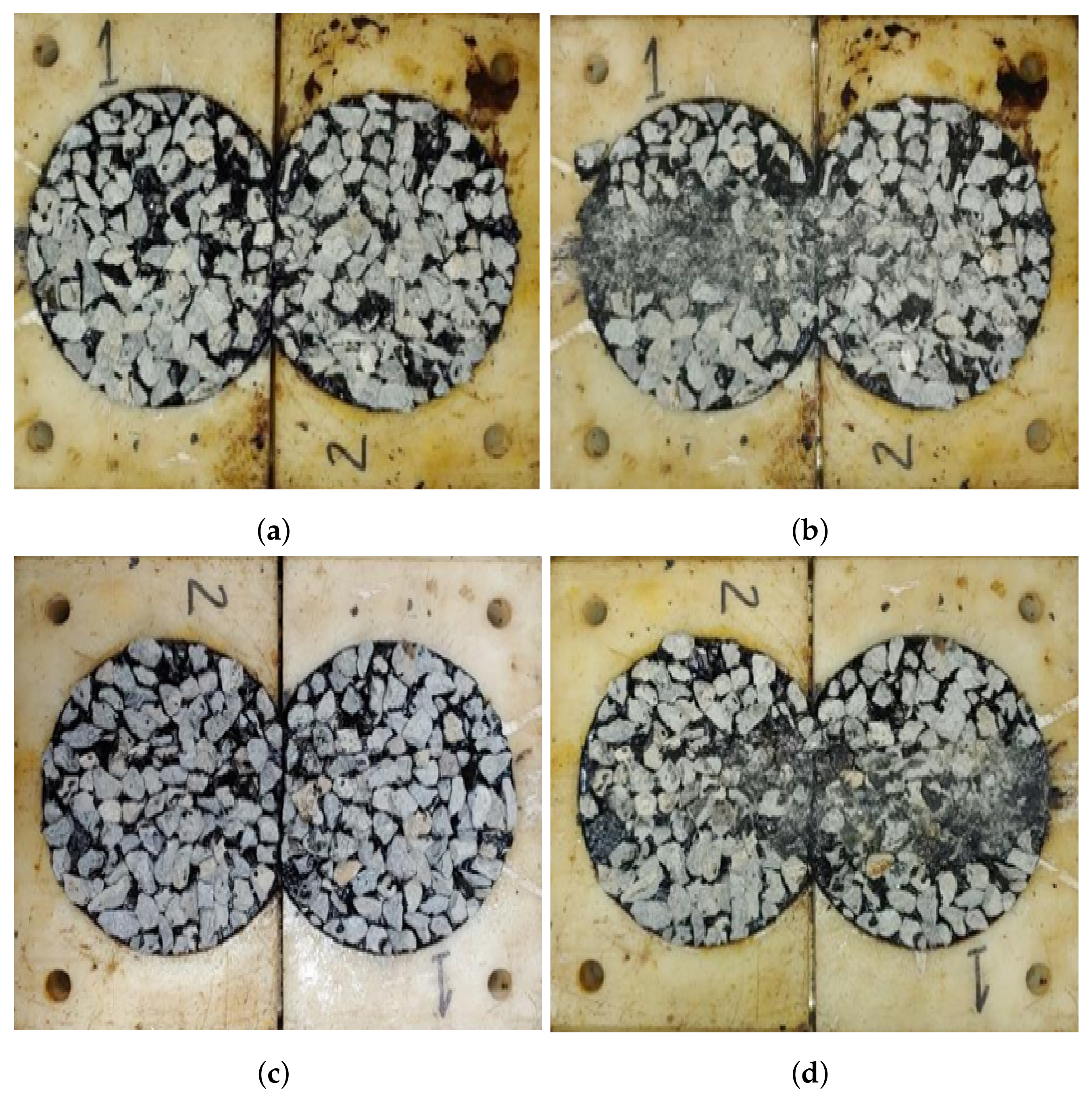 Coatings 14 00702 g011