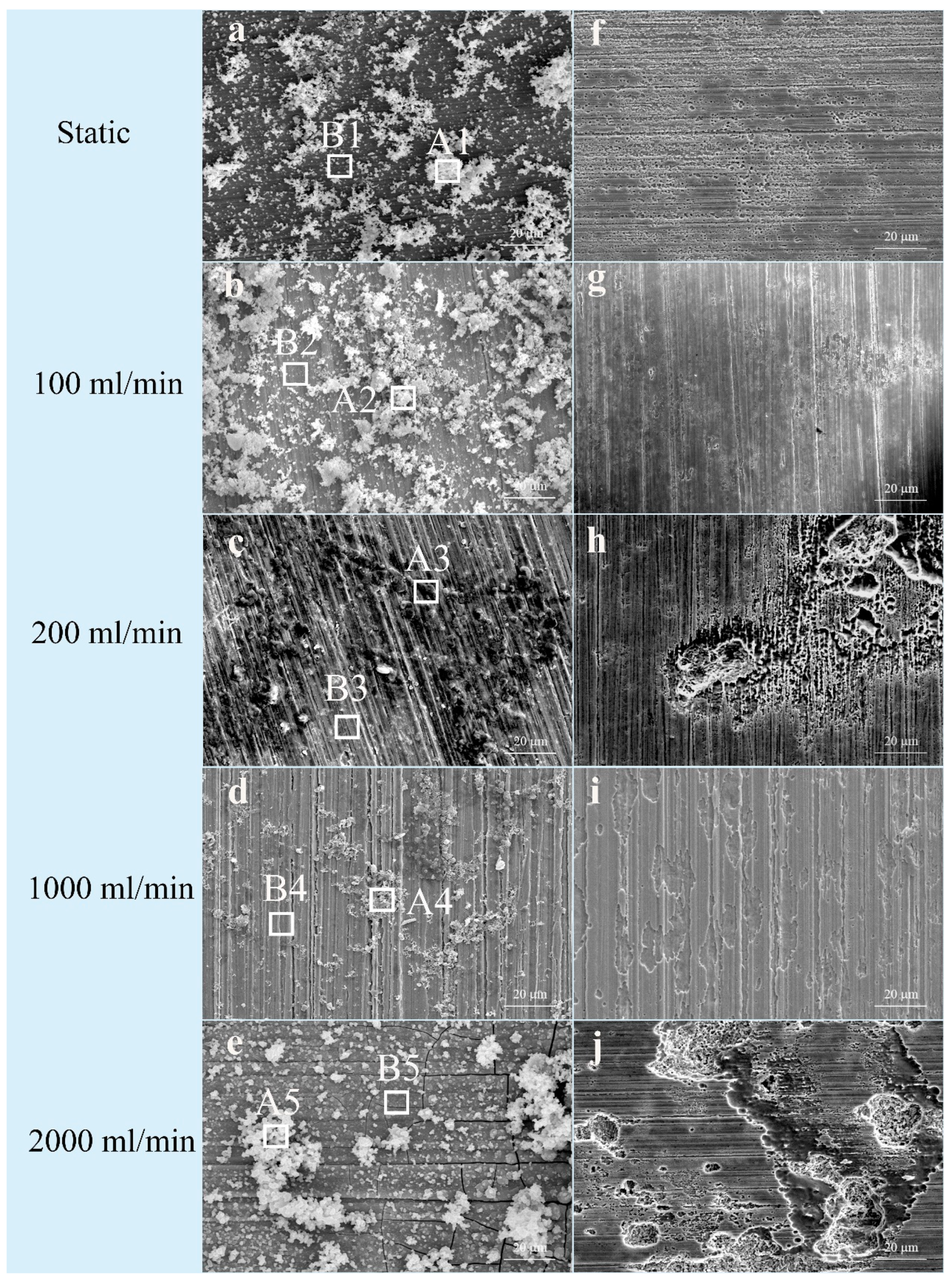 Coatings 14 00711 g002