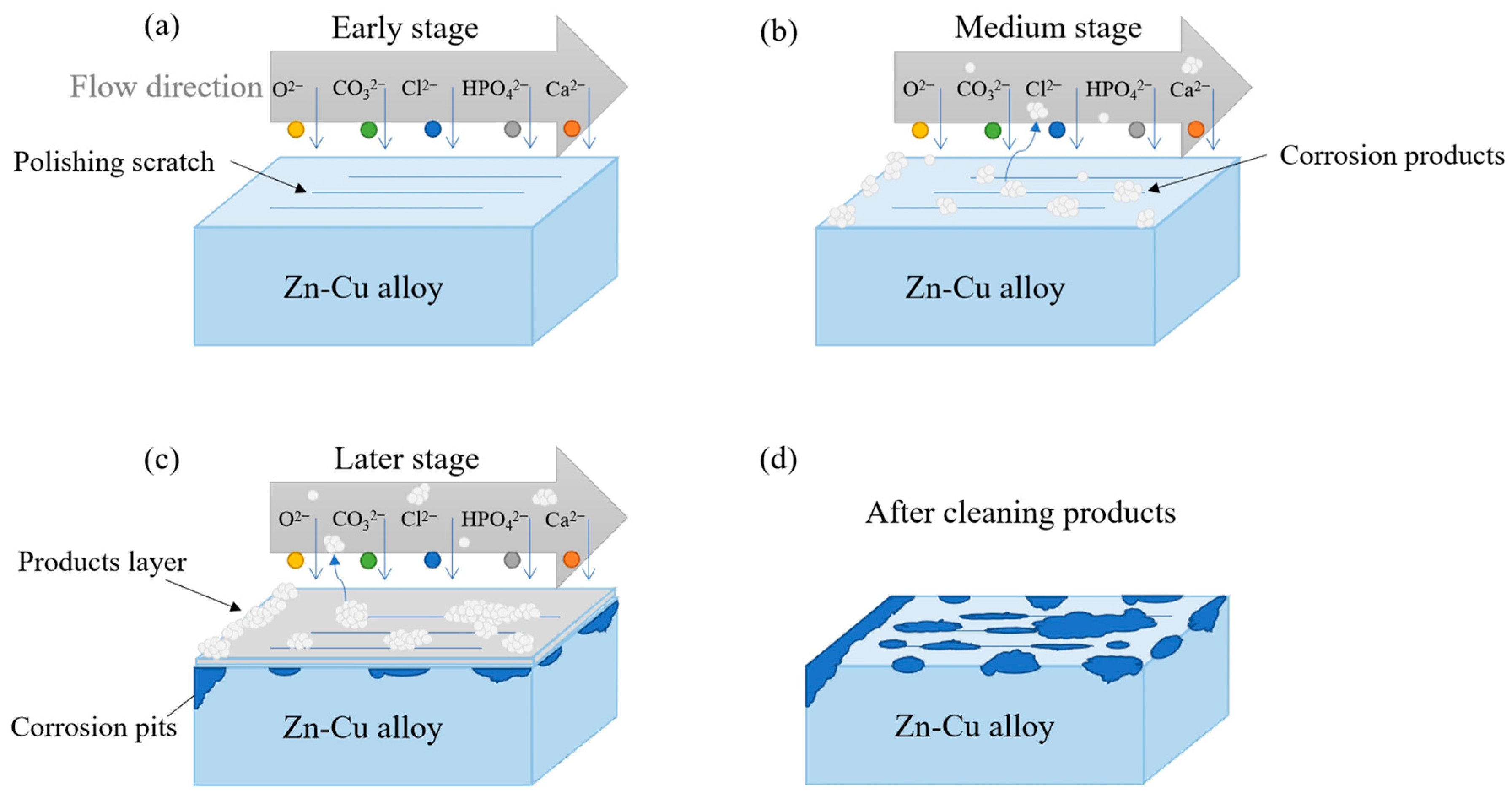 Coatings 14 00711 g013