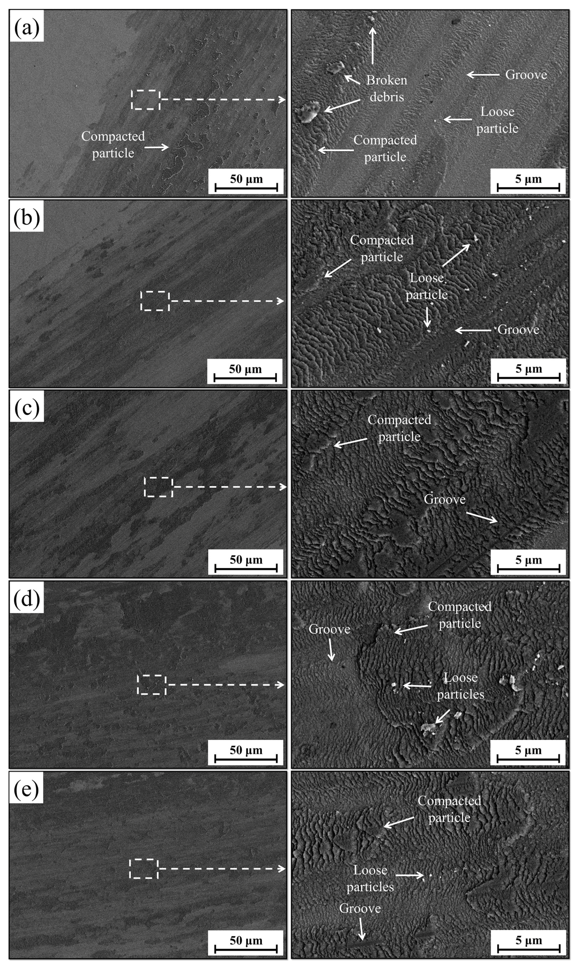 Coatings 14 00713 g012