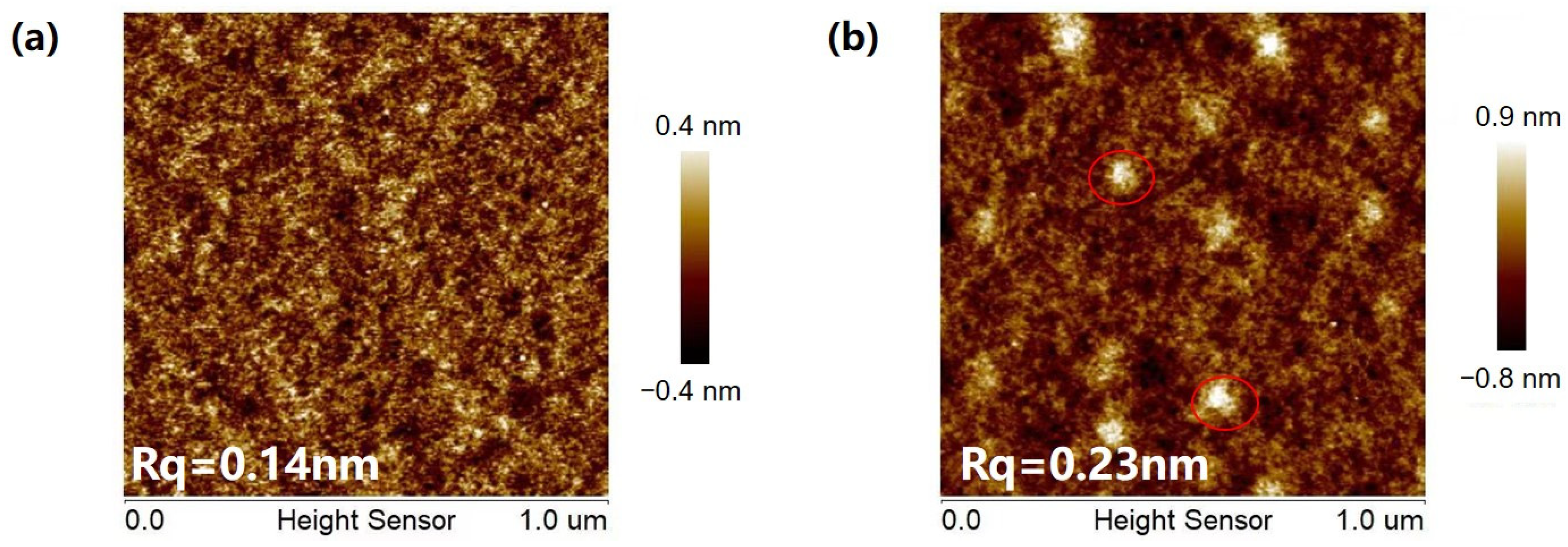 Coatings 14 00720 g006