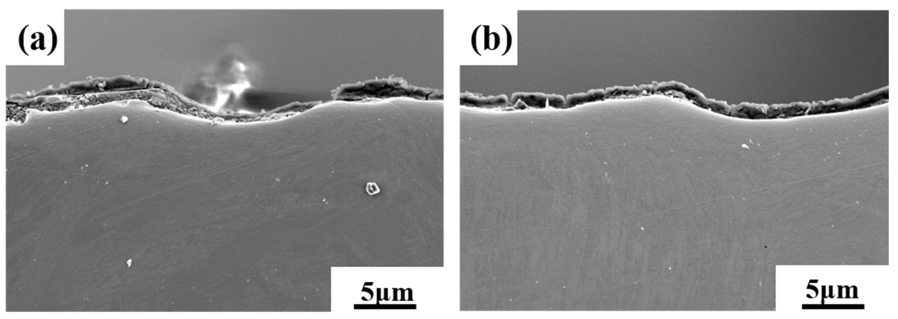 Coatings 14 00727 g008a