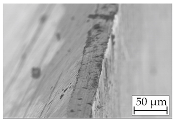 Coatings 14 00732 i001