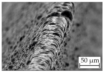 Coatings 14 00732 i004