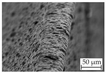 Coatings 14 00732 i006