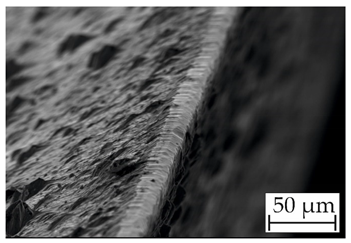 Coatings 14 00732 i007